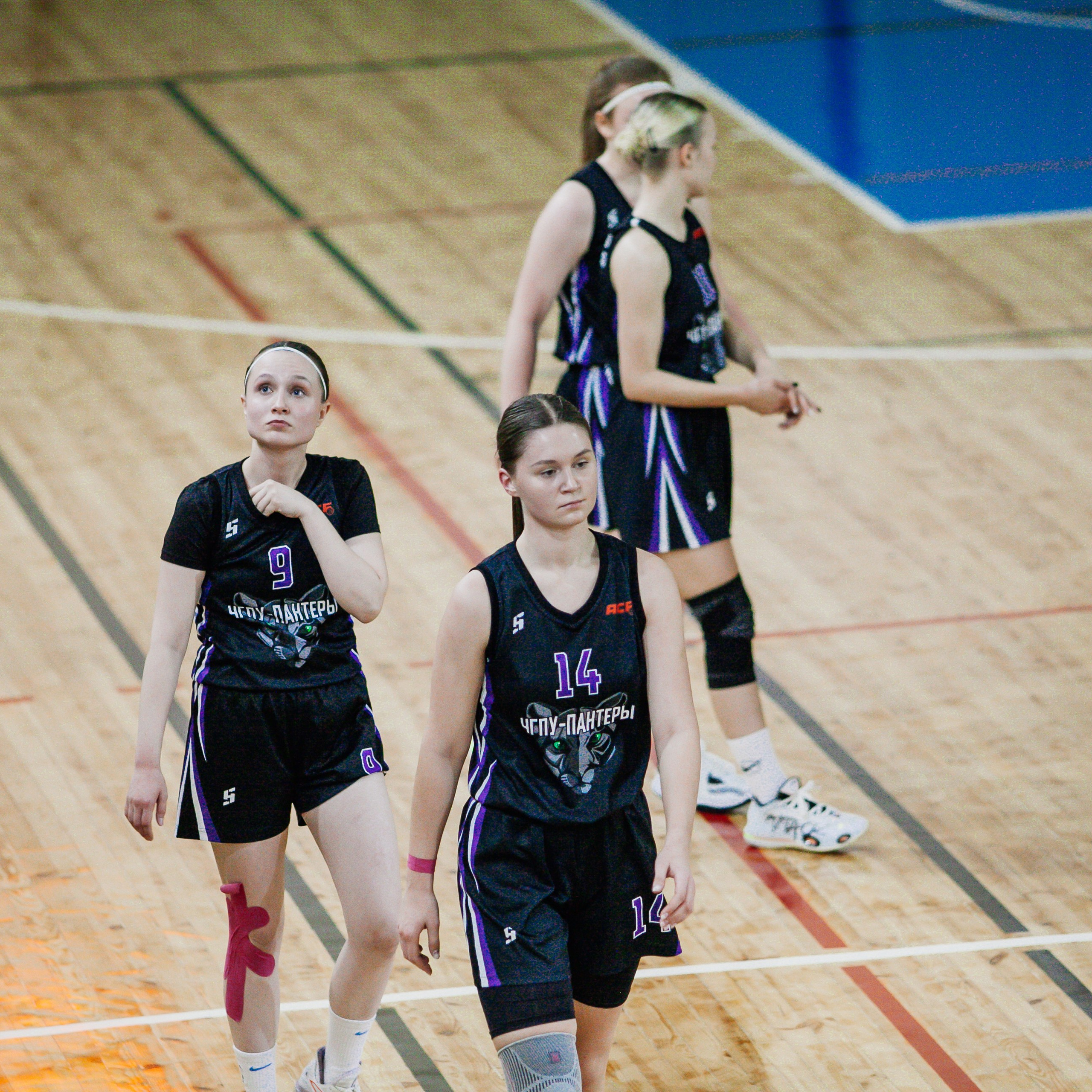 Цивильск — ЧГПУ-Пантеры. Фотография