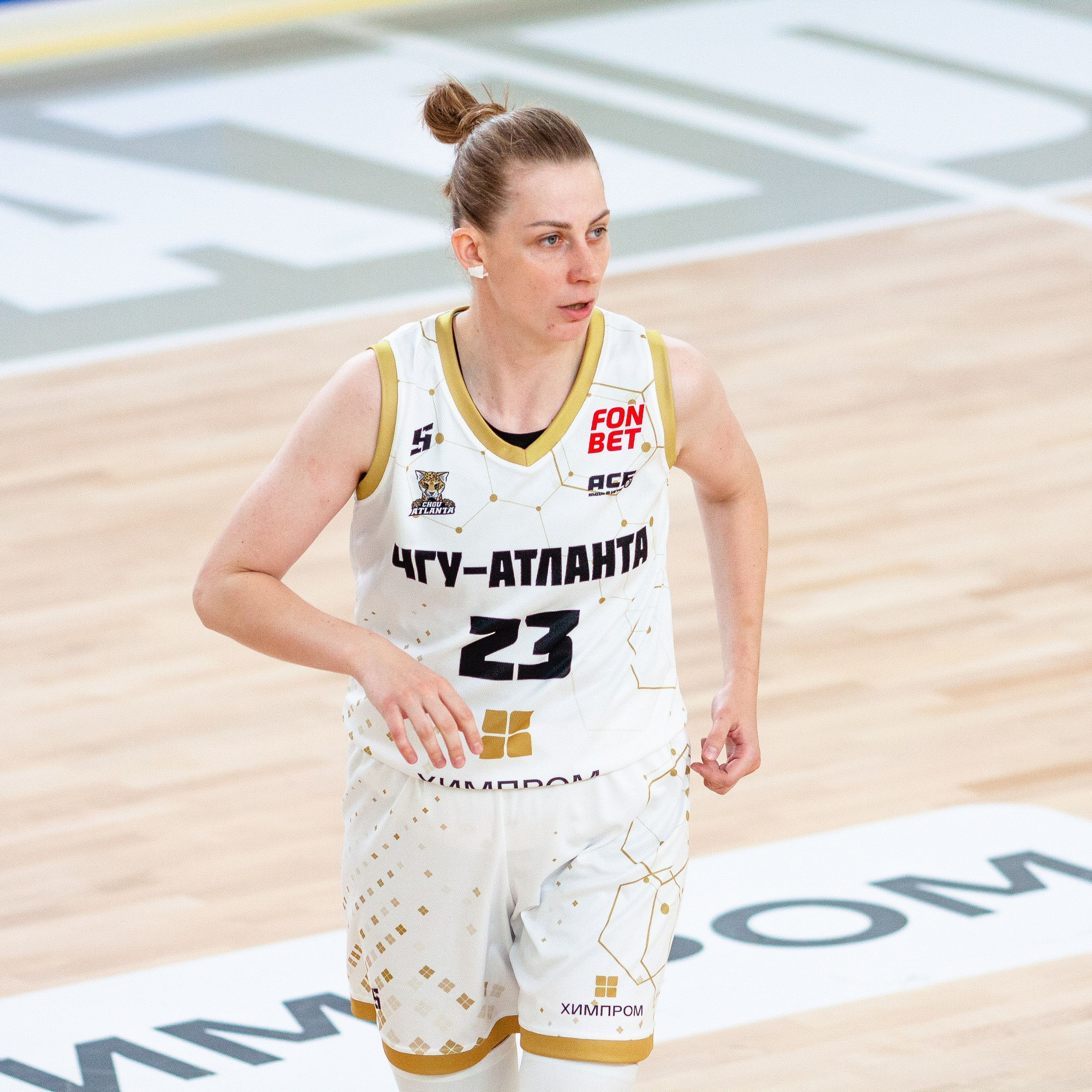 ЧГУ-Атланта. Фотография