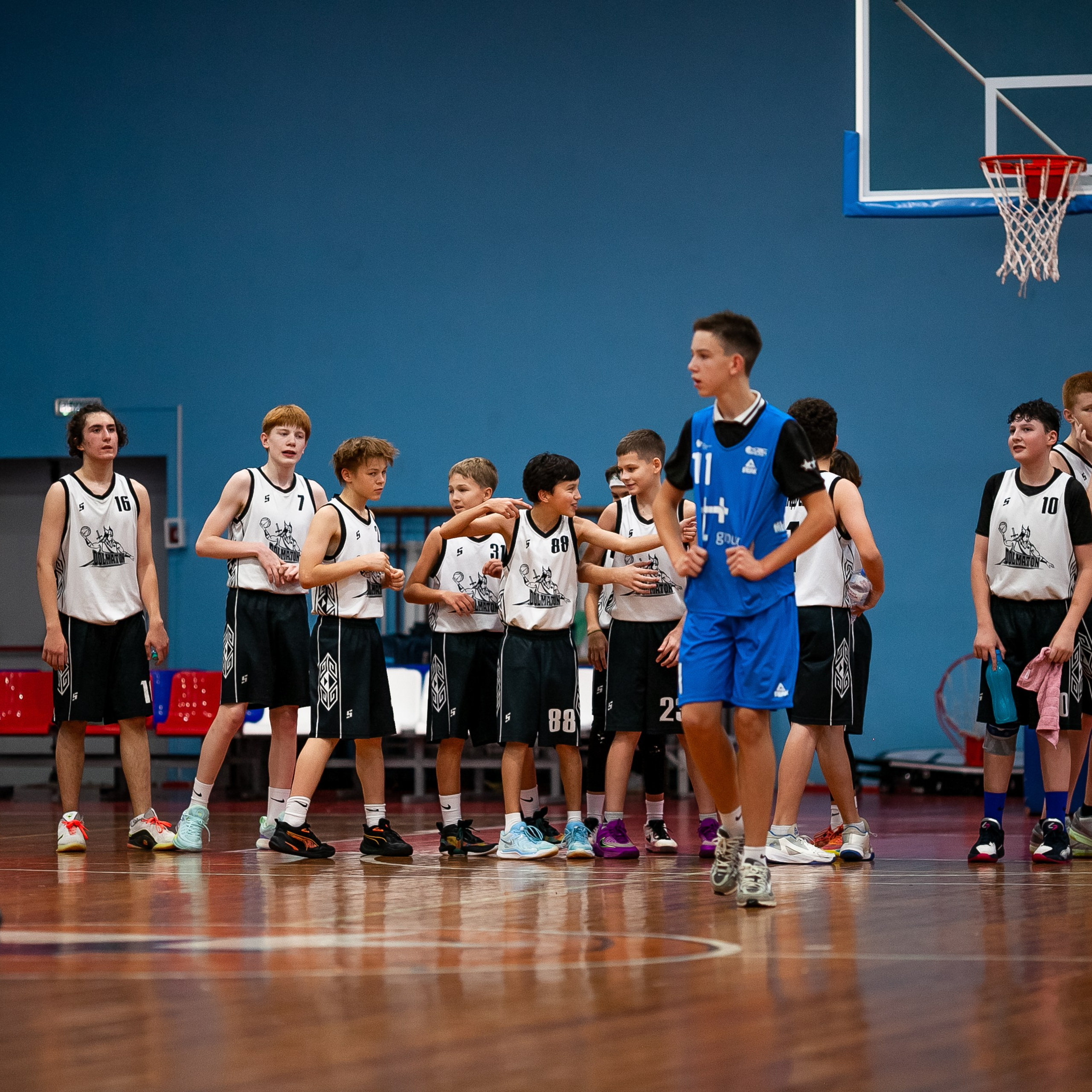 АКАДЕМИЯ БАСКЕТБОЛА «DOLMATON». Фотография