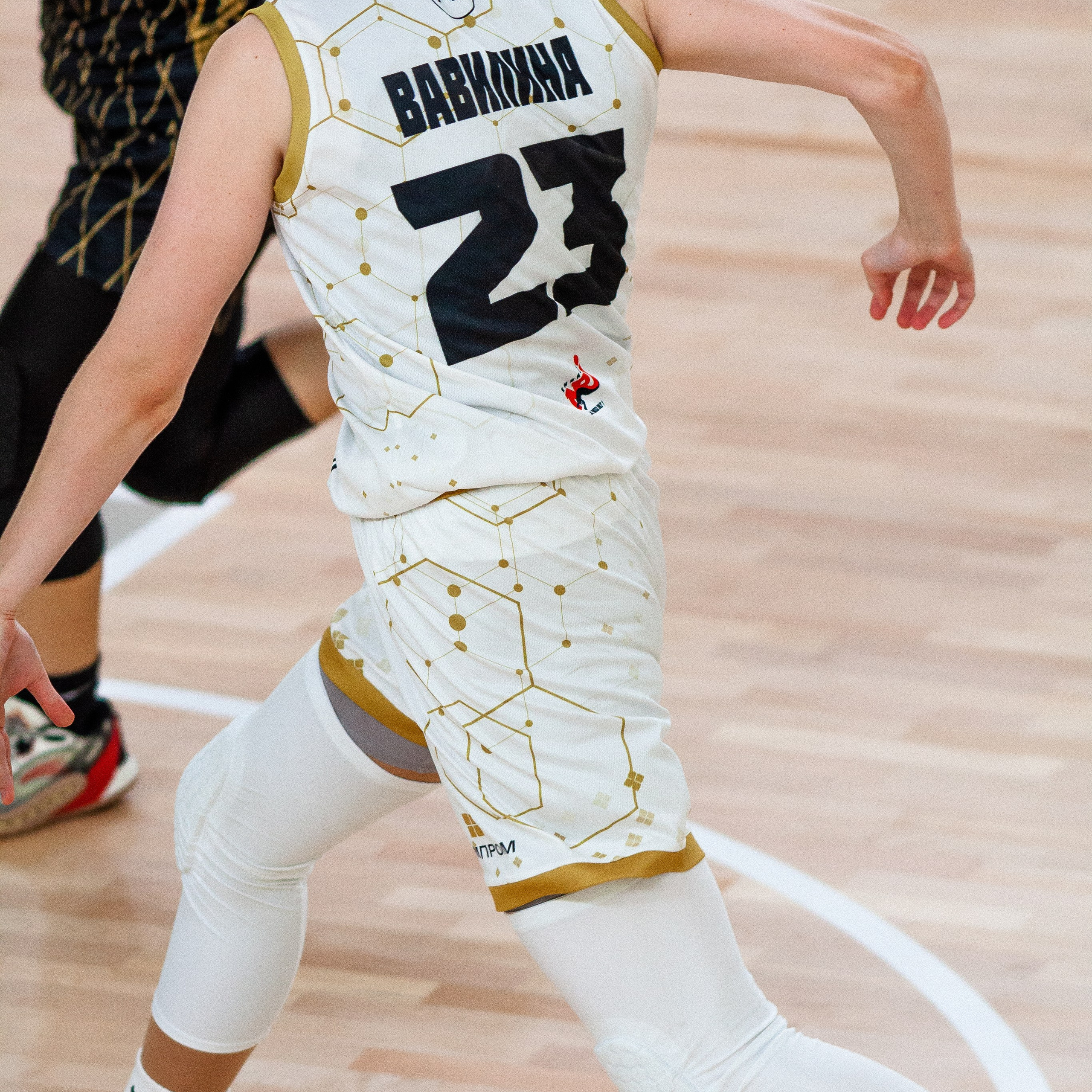 ЧГУ-Атланта. Фотография