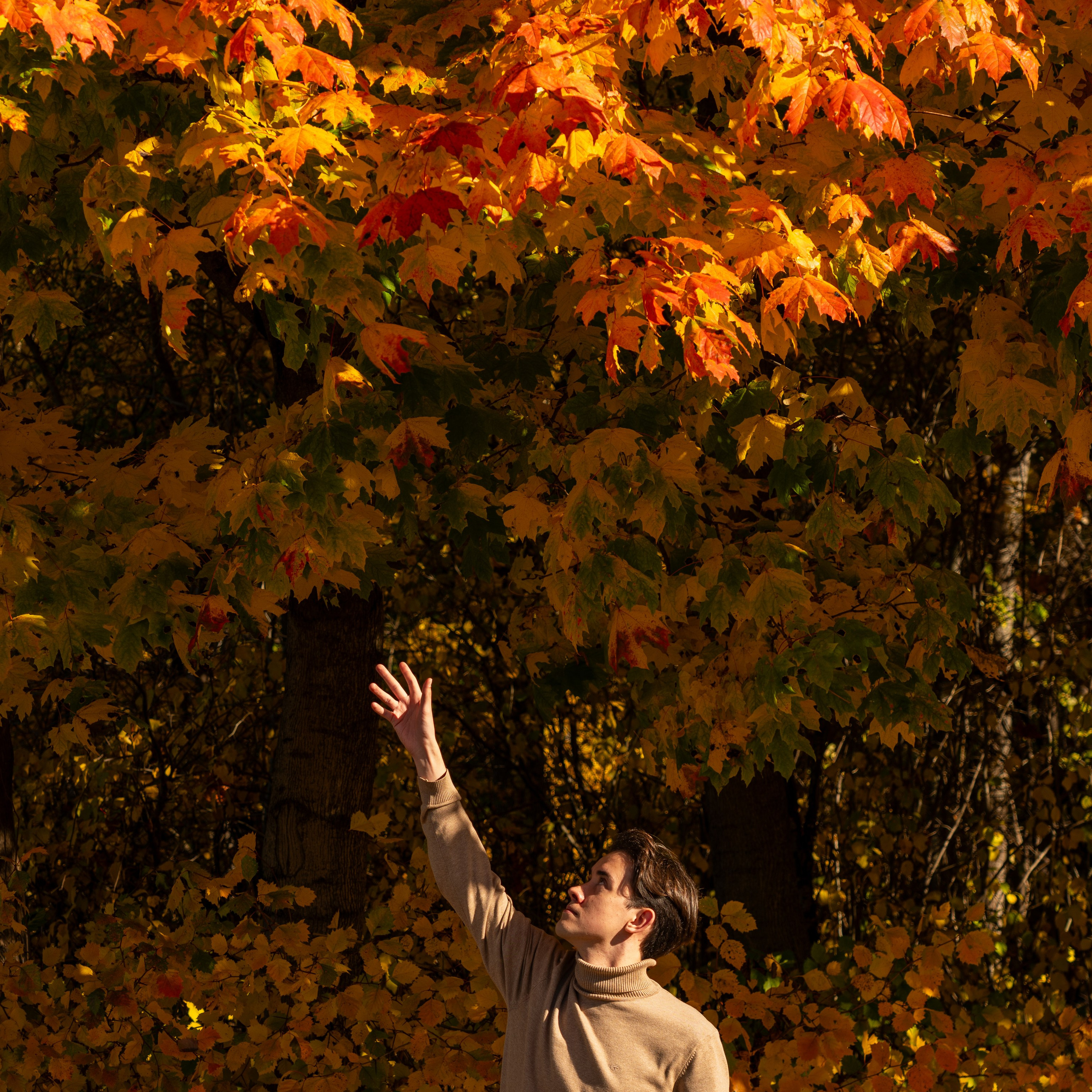 Отзывы. Коммерческий фотограф в Москве Садовников Алексей