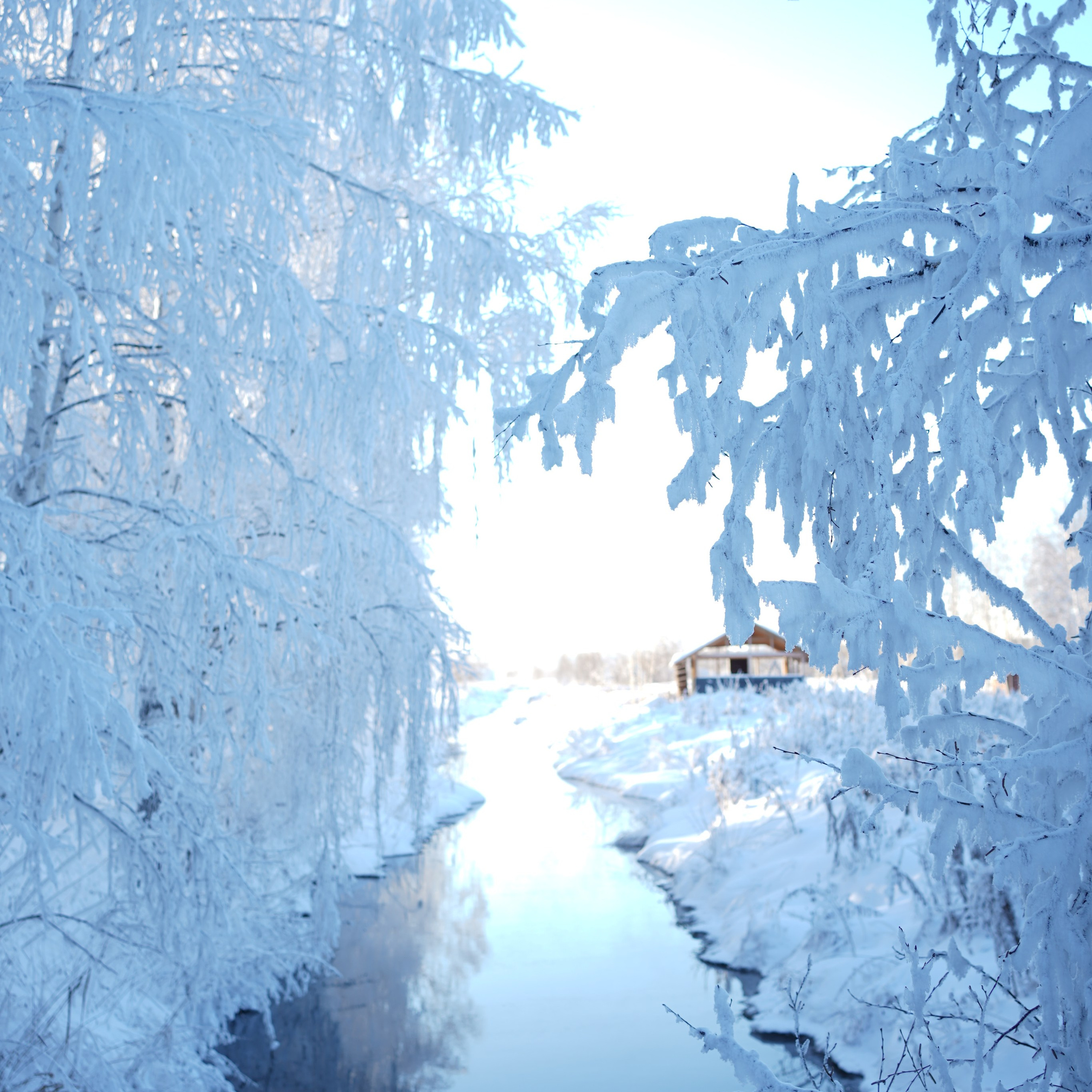 Отзывы. Семейный и портретный фотограф в Екатеринбурге Yana Strok