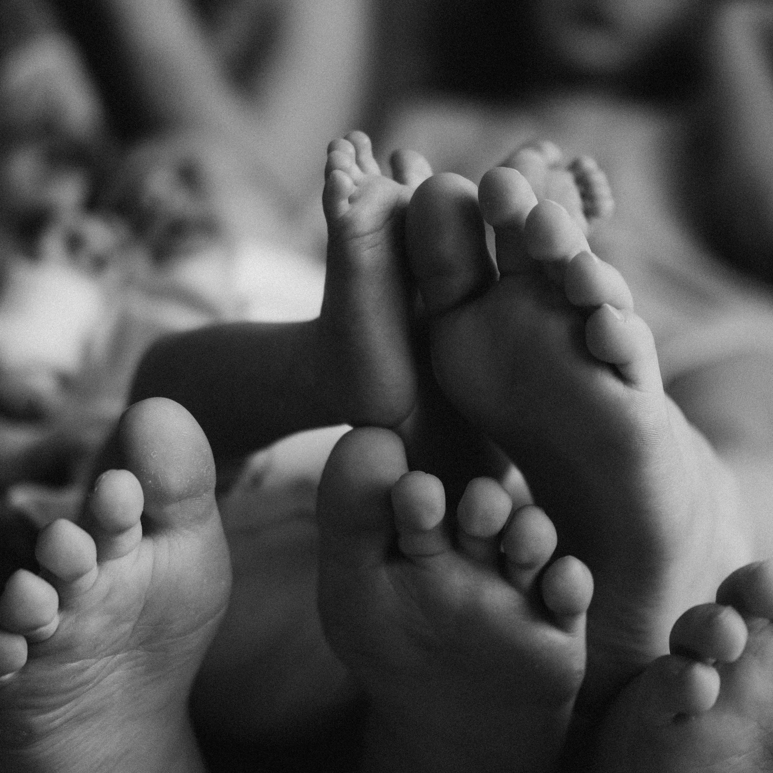 Отзывы. Семейный фотограф в Оренбурге Юлия Зиборева