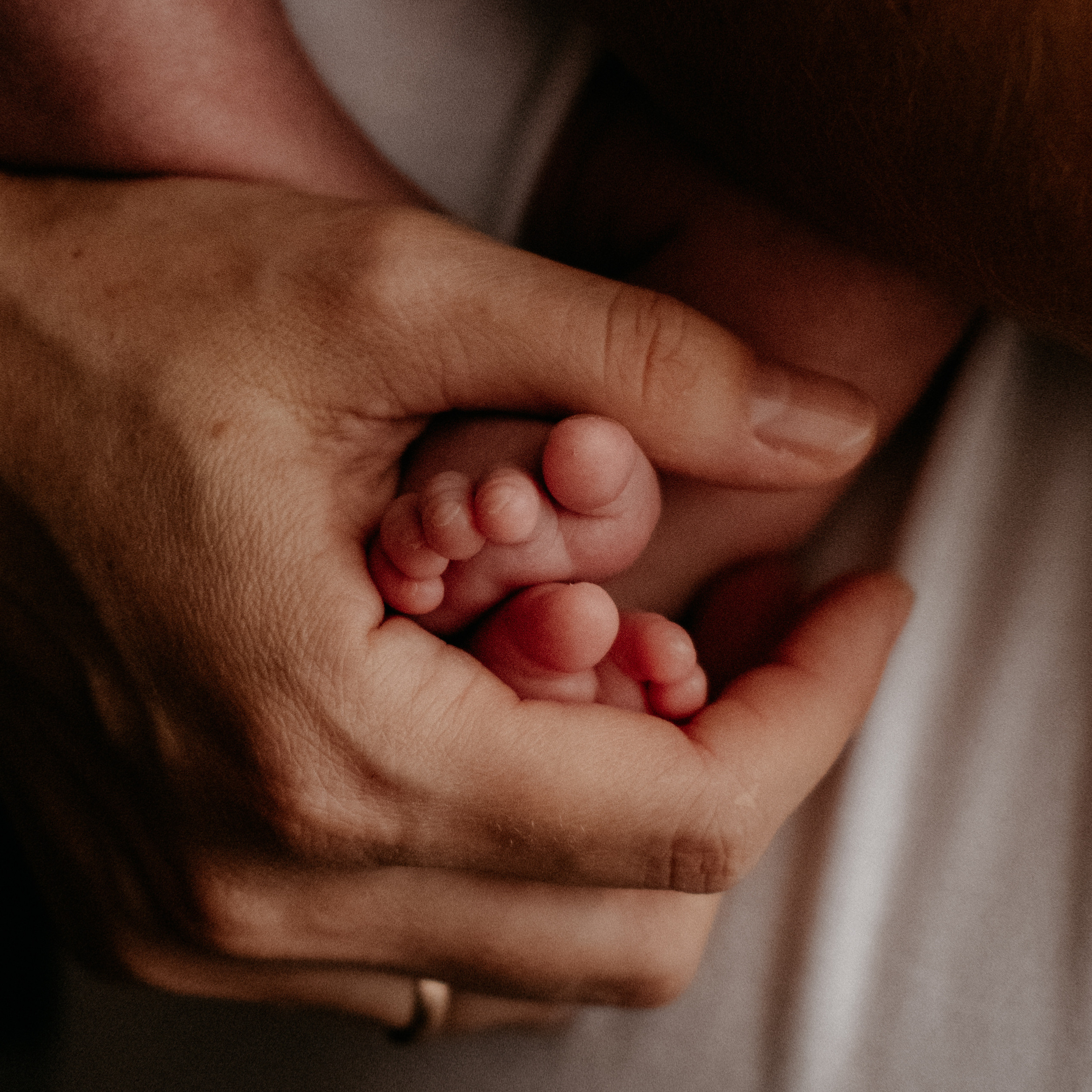 Отзывы. Семейный фотограф в Оренбурге Юлия Зиборева