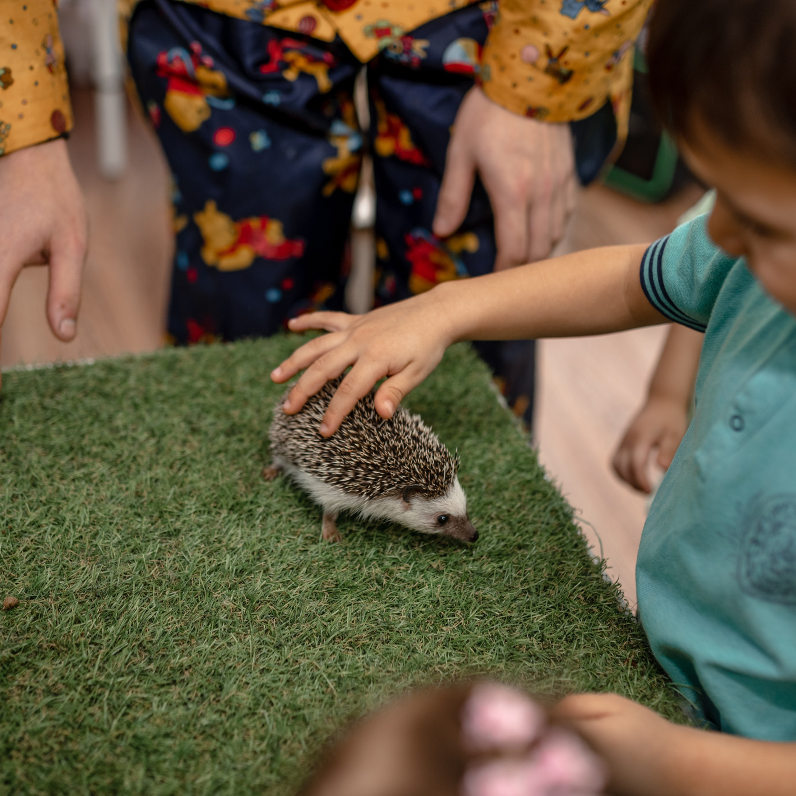 Отзывы. Фотограф Ростов