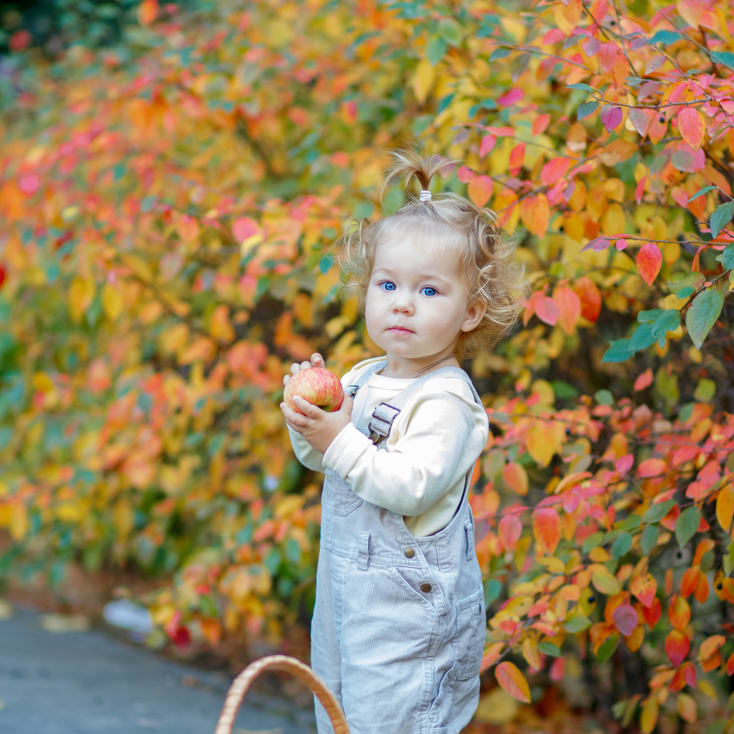 Отзывы. Школьный фотограф Наталья Егорова
