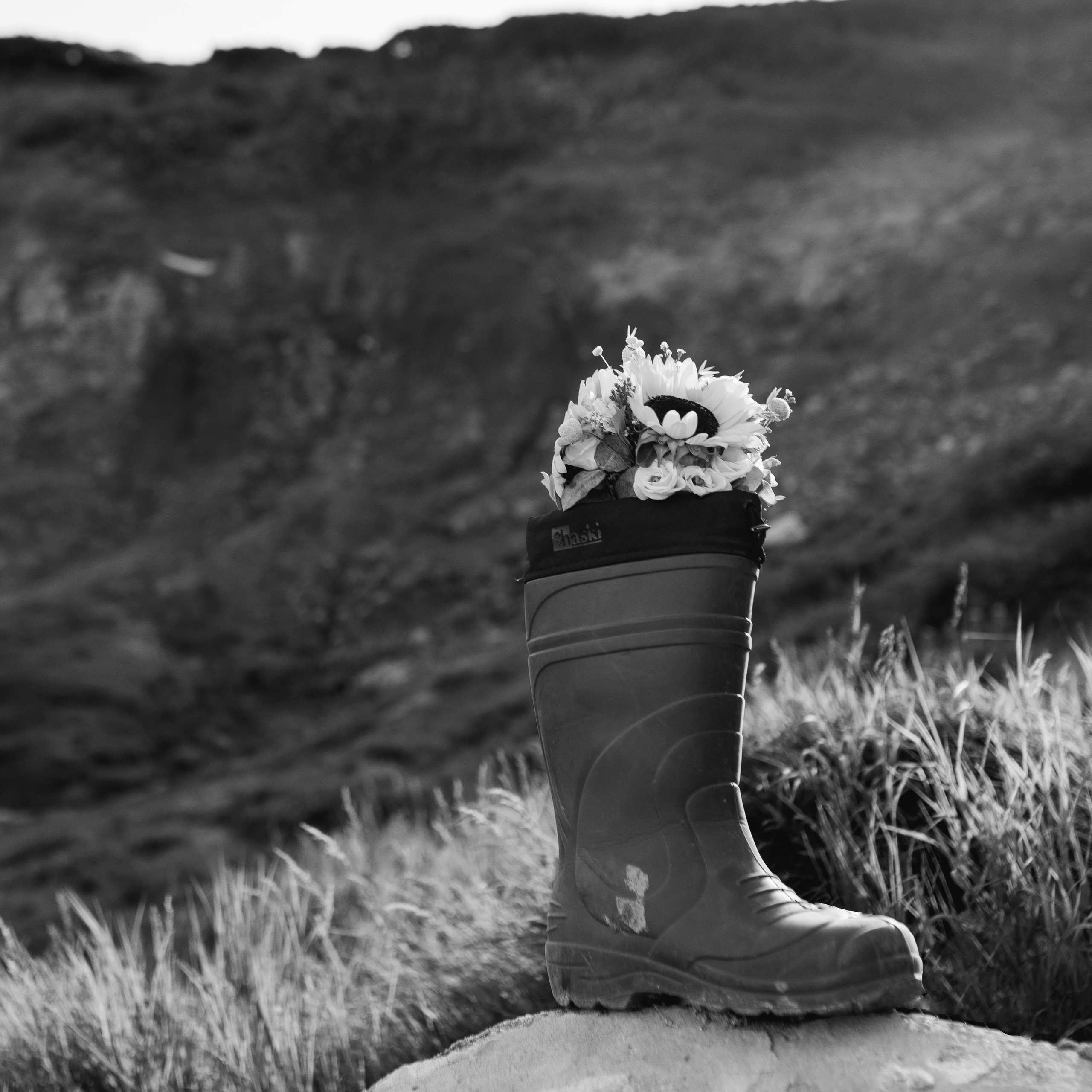 Отзывы. Свадебный фотограф в Санкт-Петербурге Настасья Север