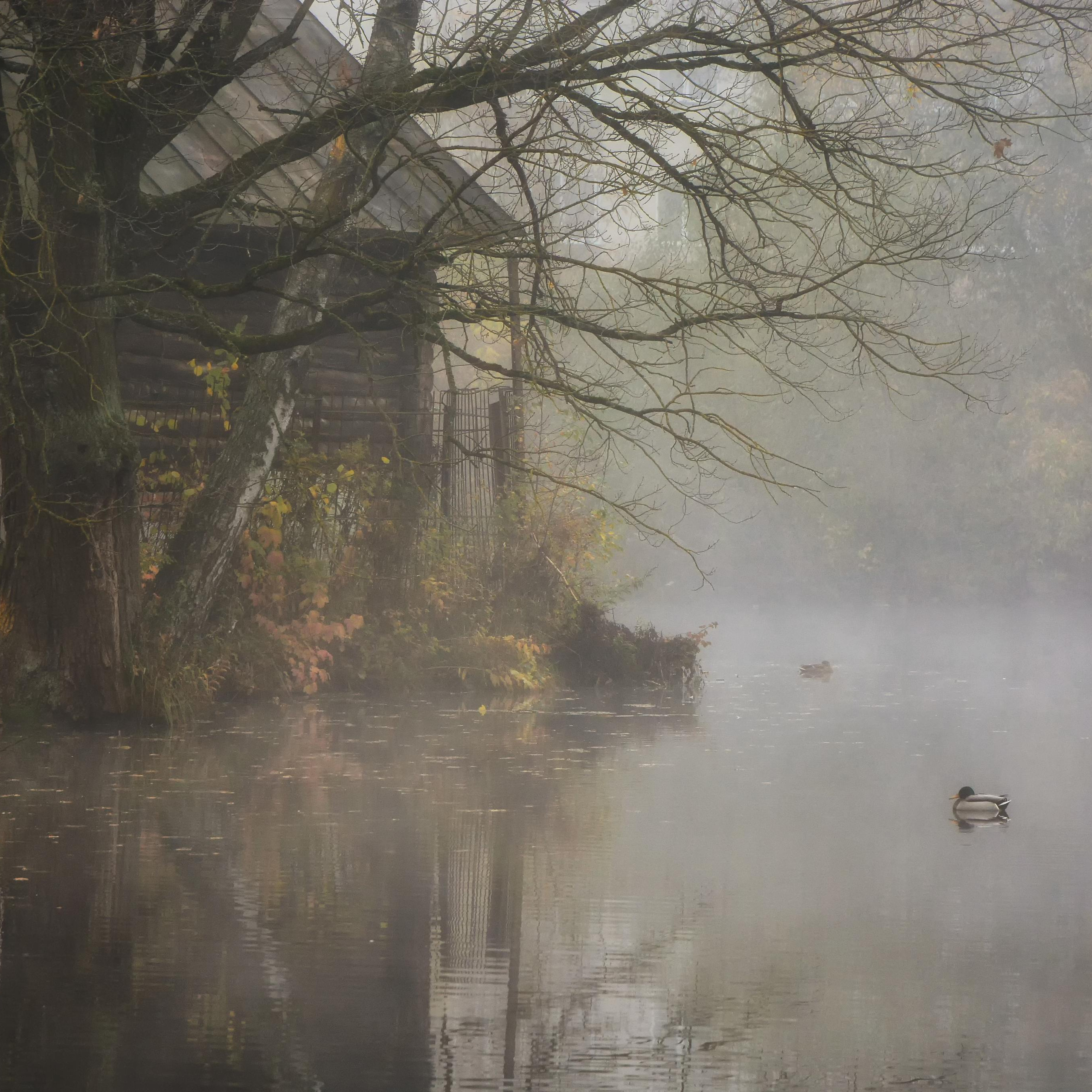 Пейзаж и архитектура г. Калуги