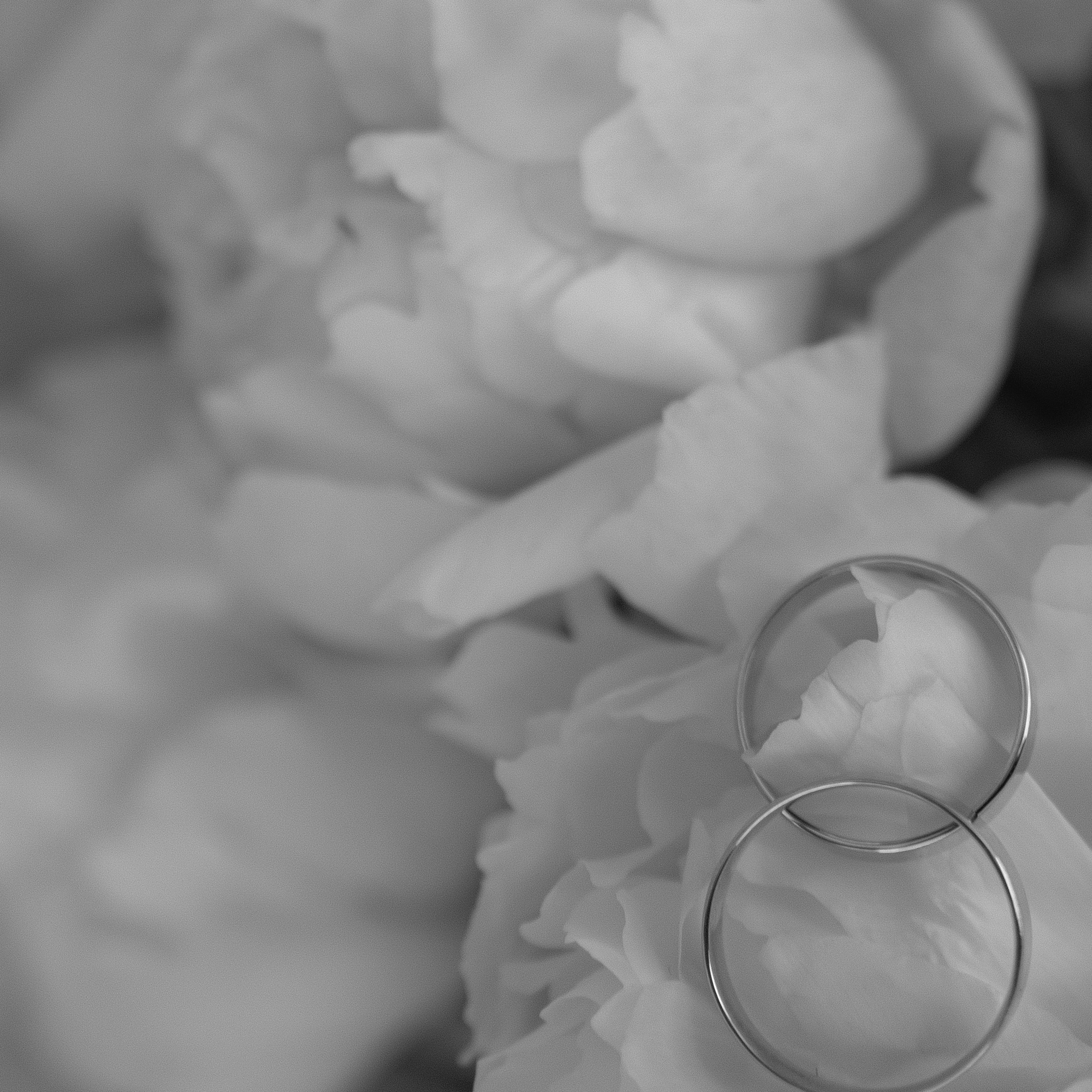 Алина & Петя