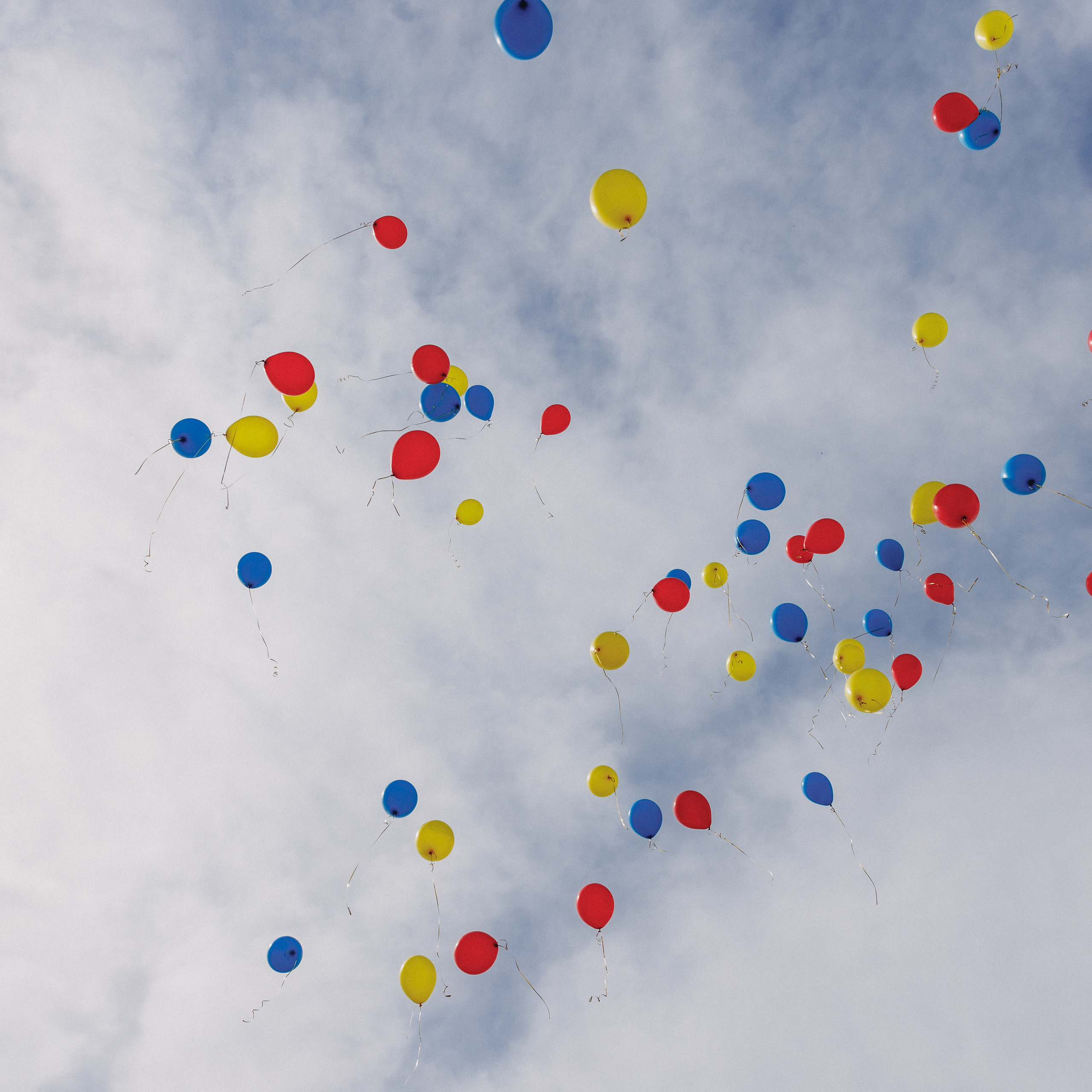 Отзывы. Свадебный фотограф Станислав Стиви