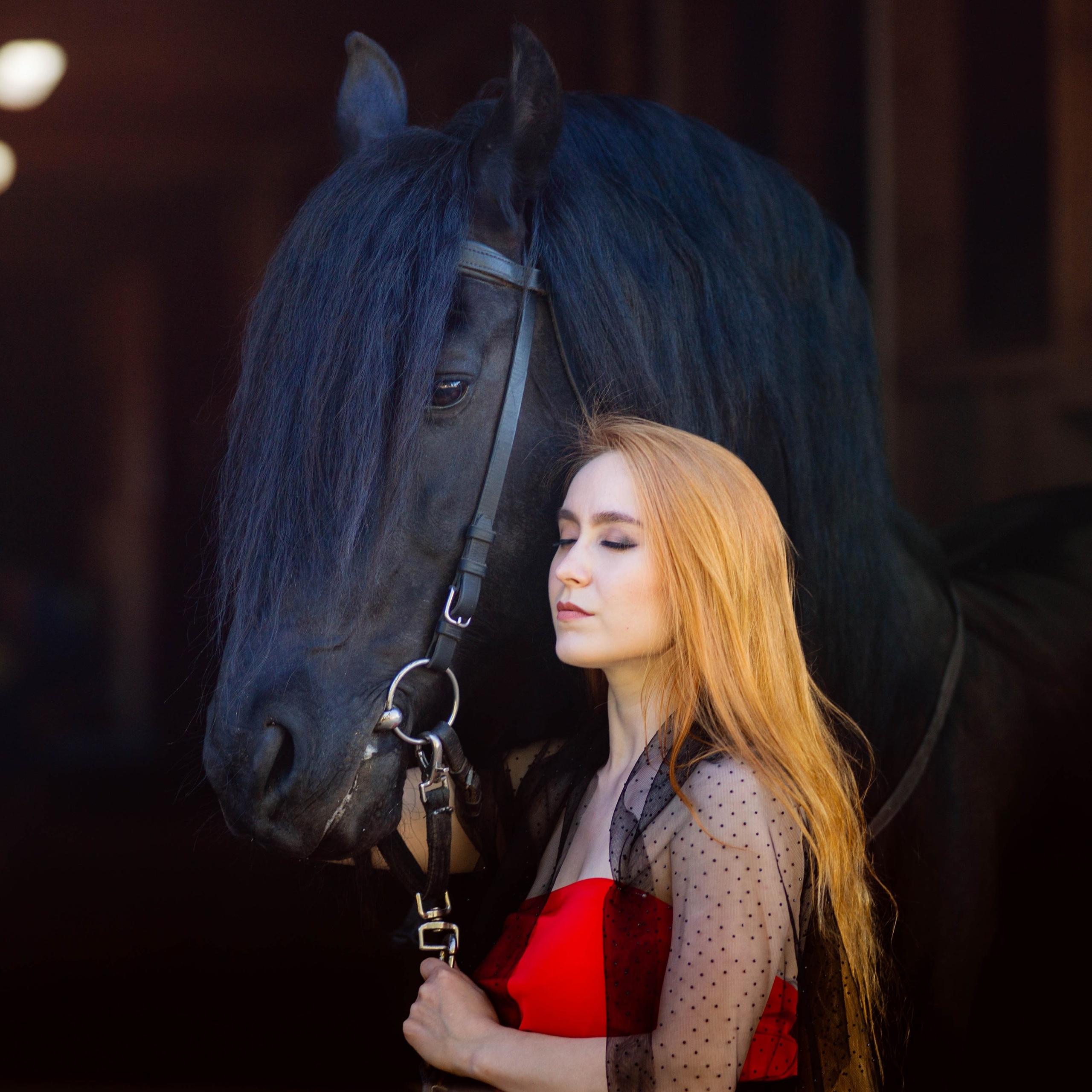 Фотосессии с лошадьми