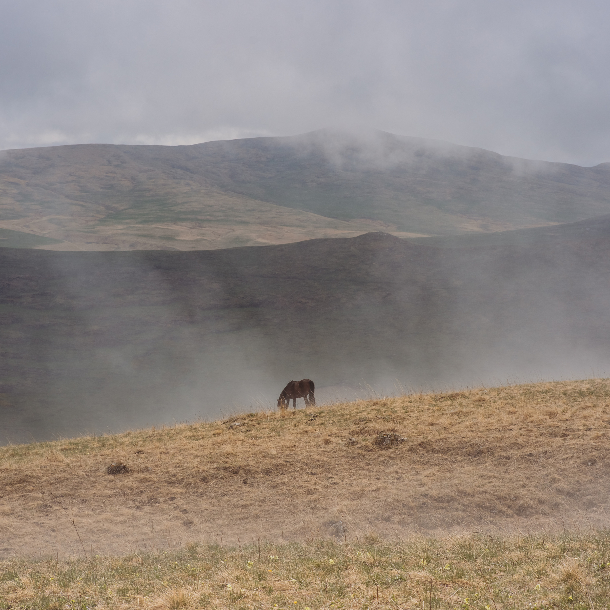 Отзывы. Семейный фотограф Пятигорск, Кисловодск, Эльбрус. Марина Вяликова
