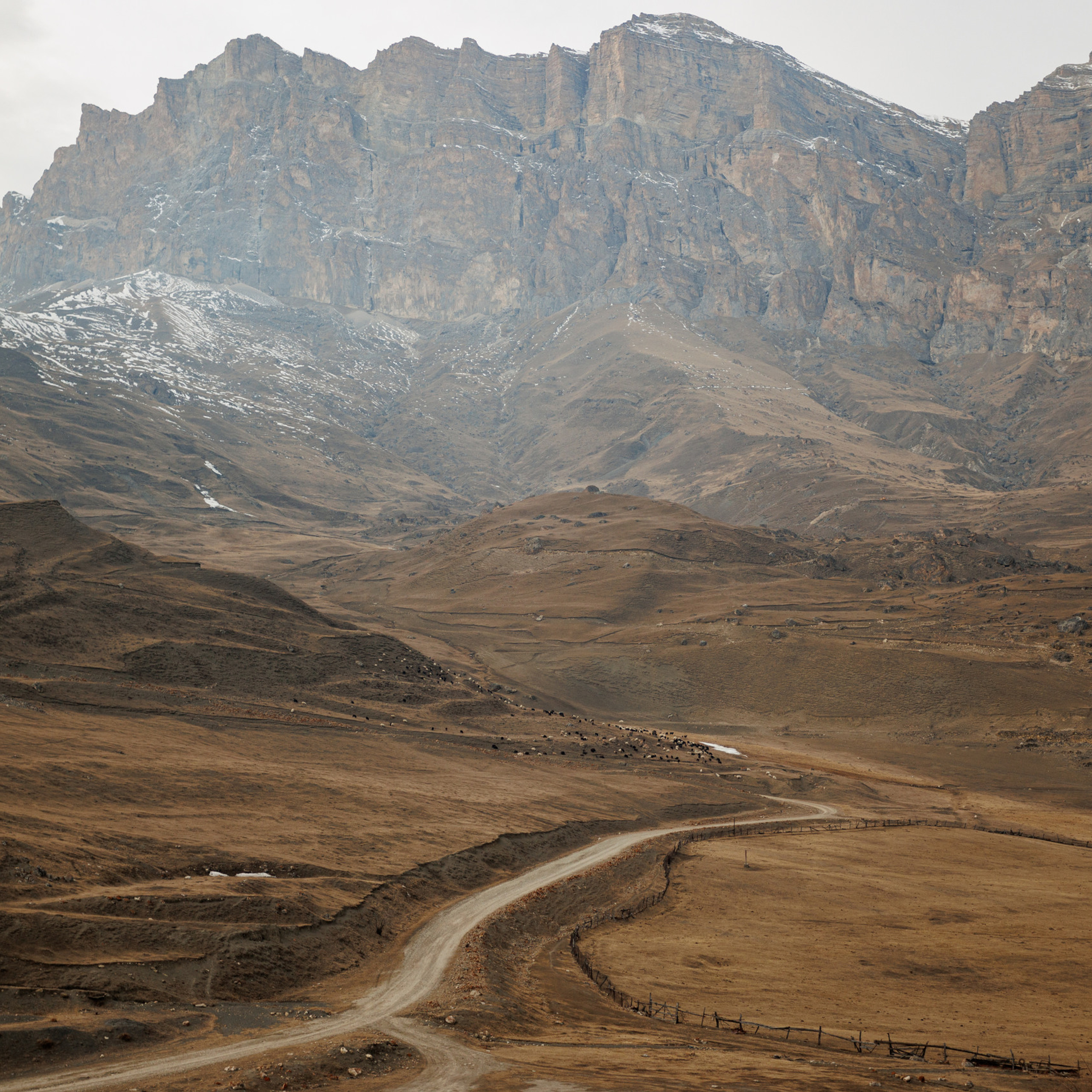 Отзывы. Семейный фотограф Пятигорск, Кисловодск, Эльбрус. Марина Вяликова
