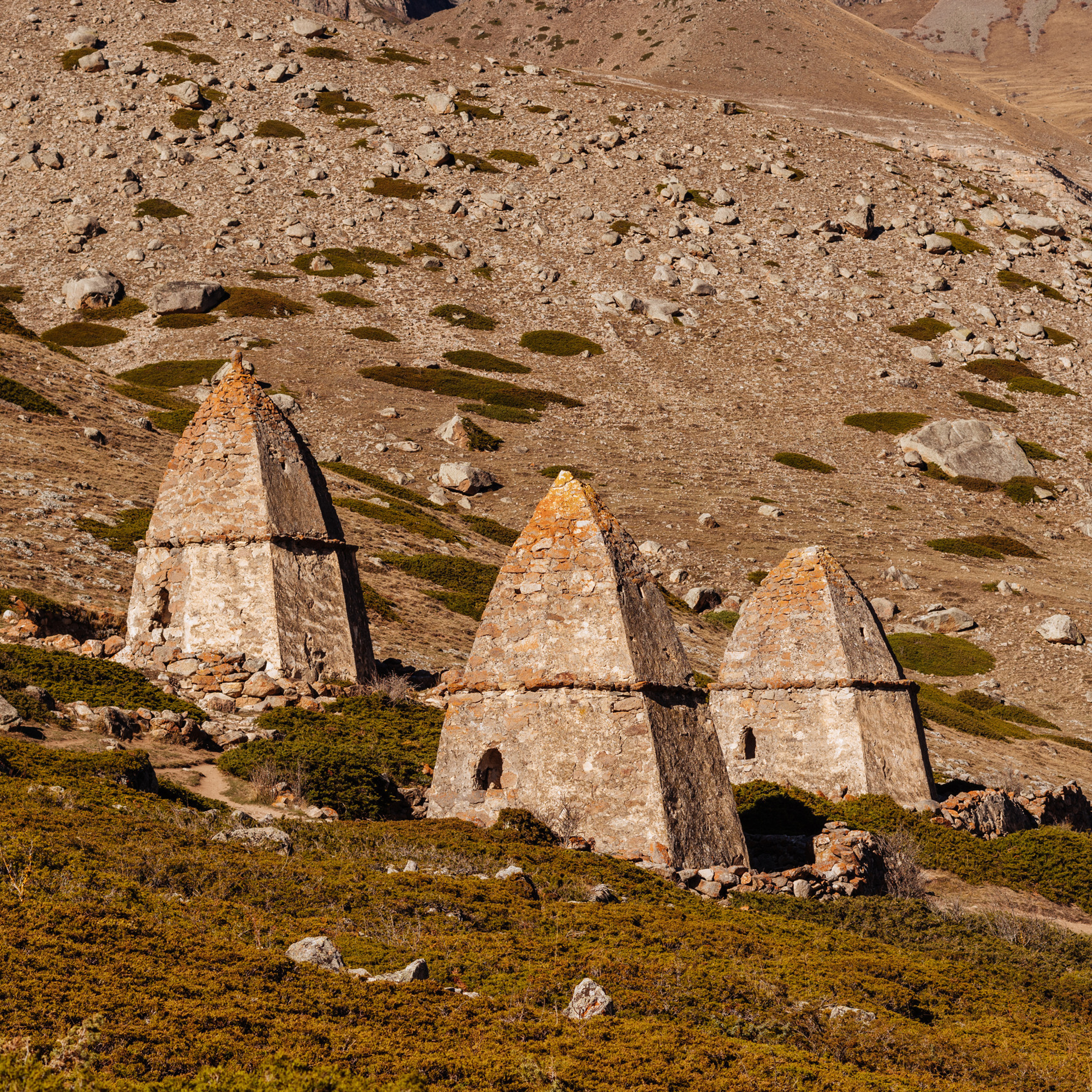 Отзывы. Семейный фотограф Пятигорск, Кисловодск, Эльбрус. Марина Вяликова