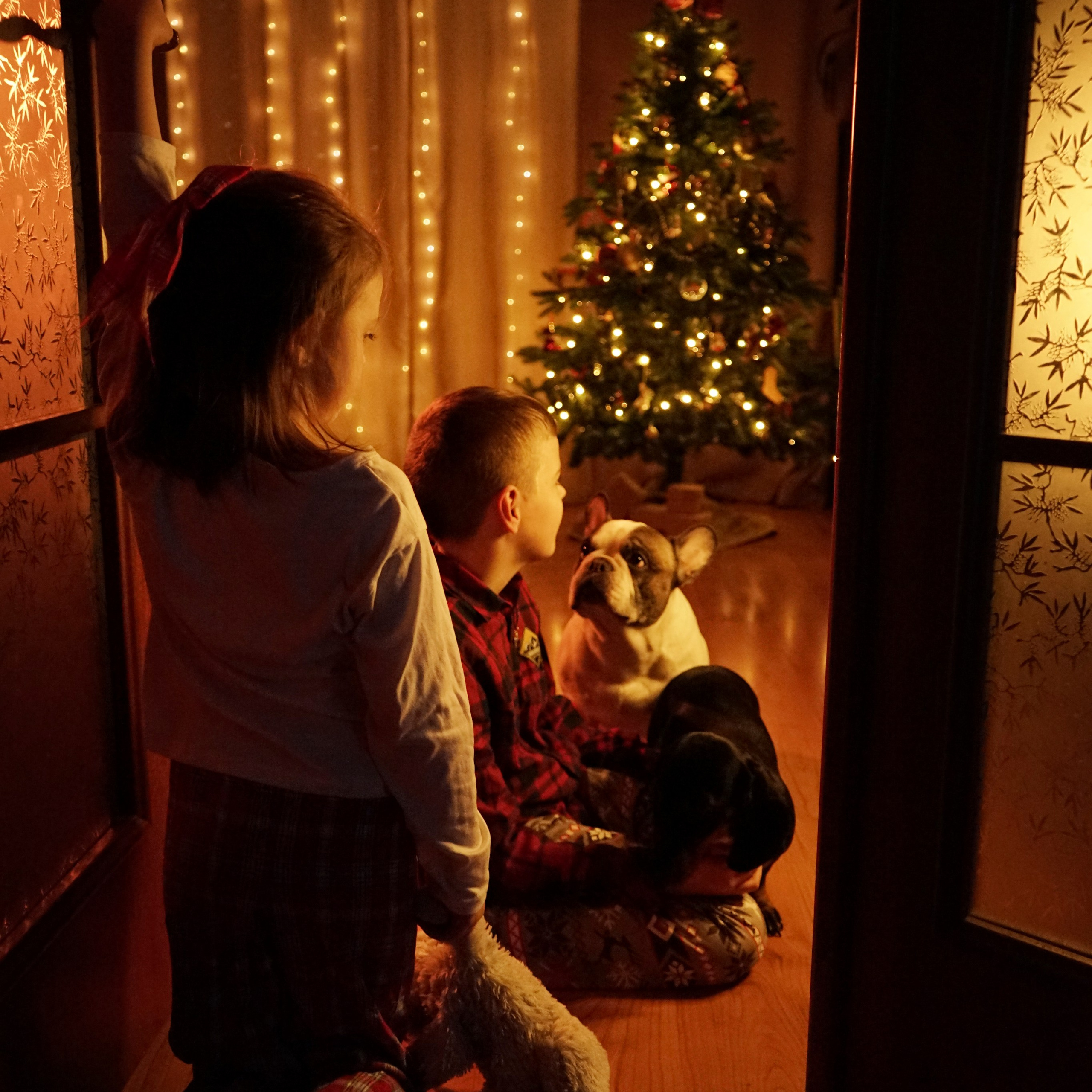 Дети. Семейный фотограф Нагорная Кристина