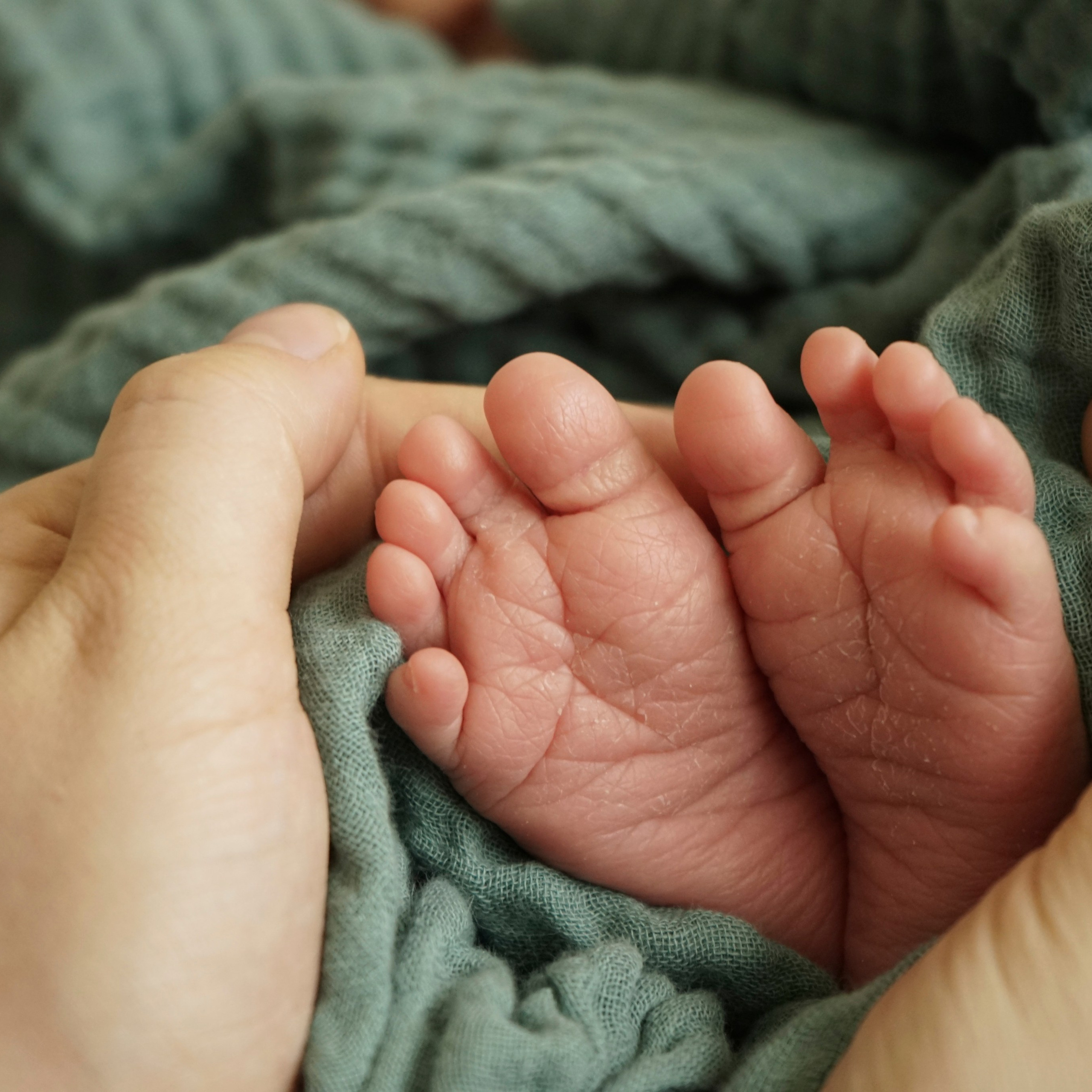 Дети. Семейный фотограф Нагорная Кристина