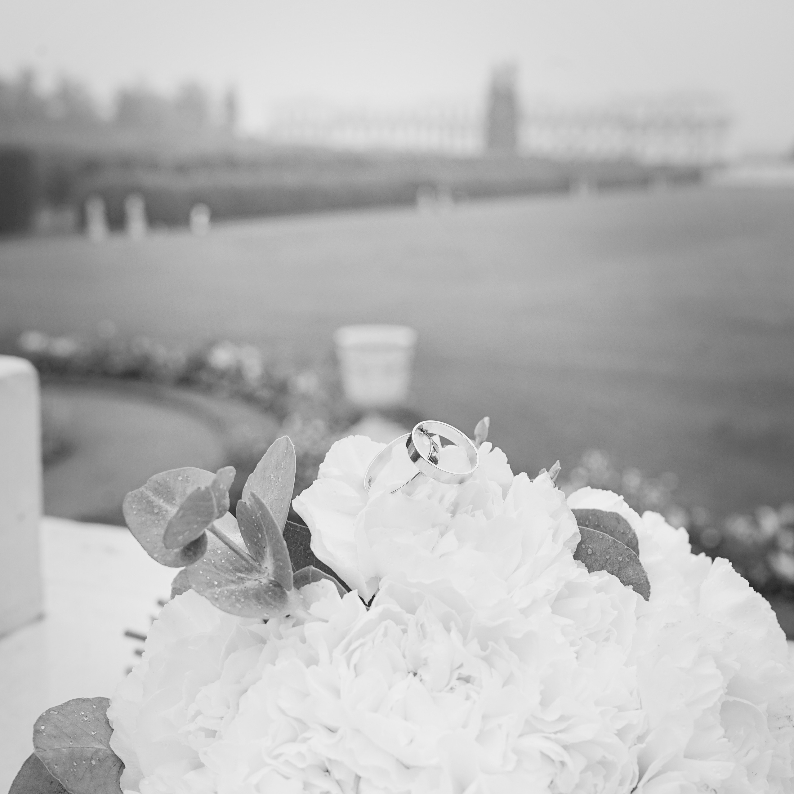 M&V. Семейный фотограф Нагорная Кристина