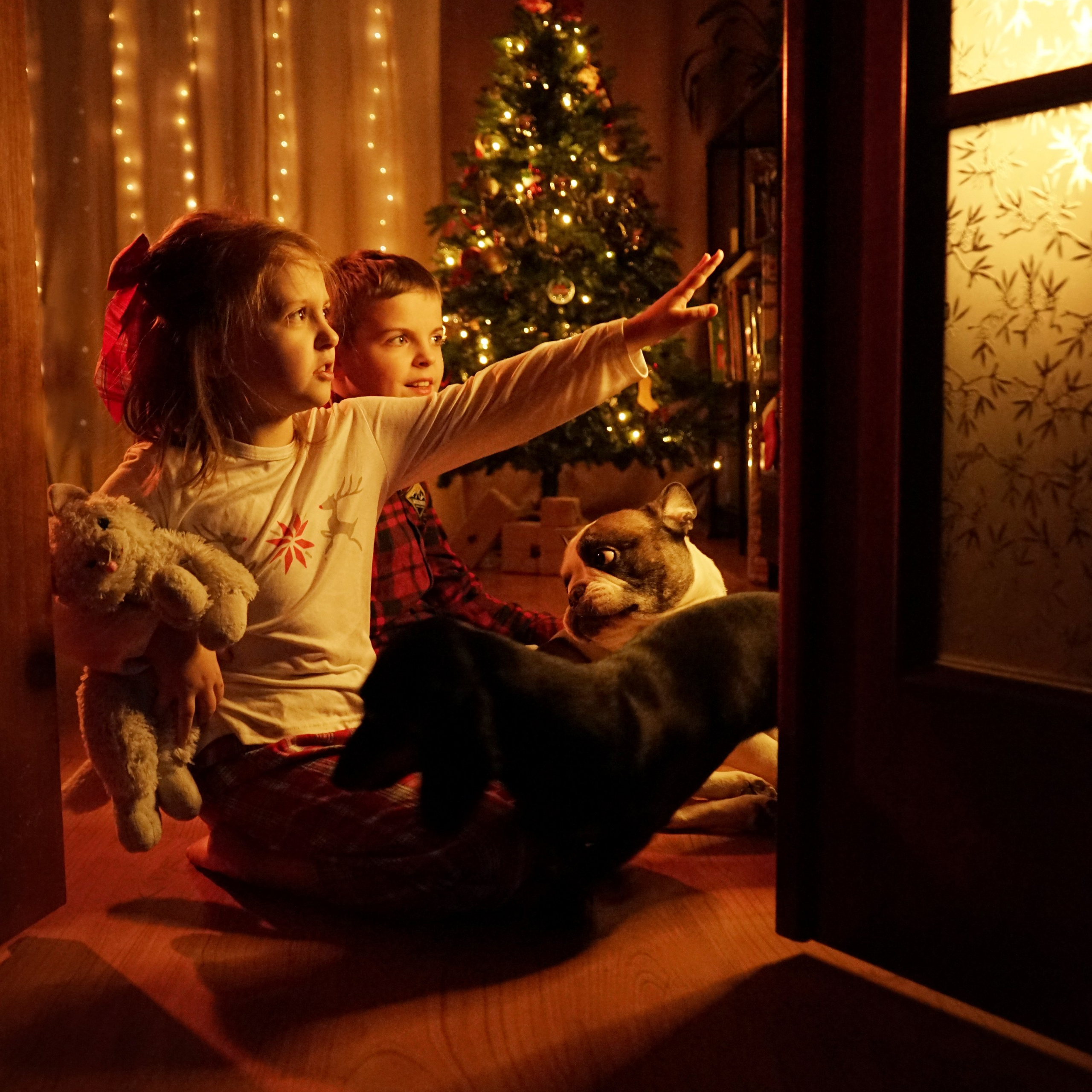 Дети. Семейный фотограф Нагорная Кристина