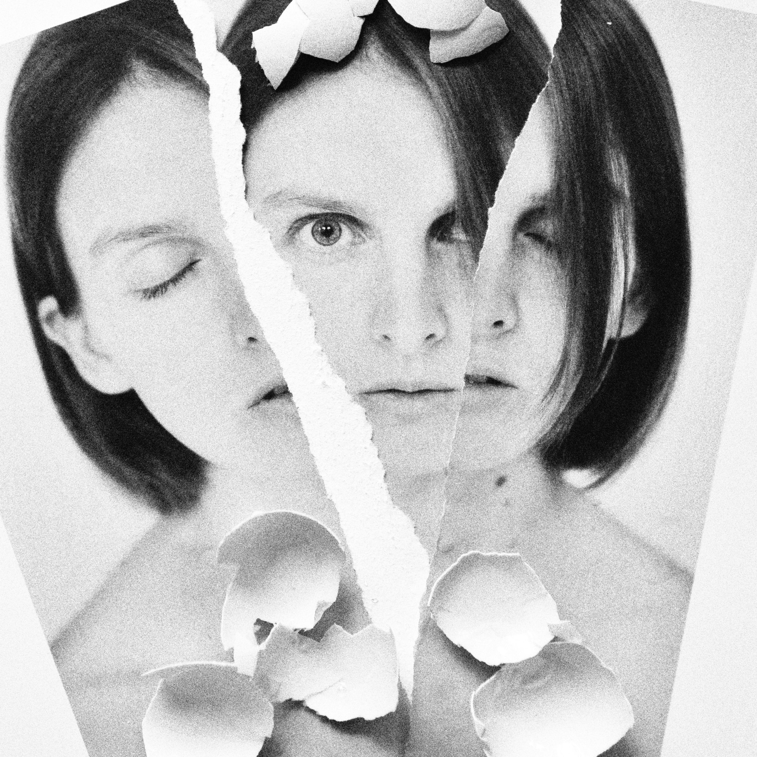 Гадкий утёнок