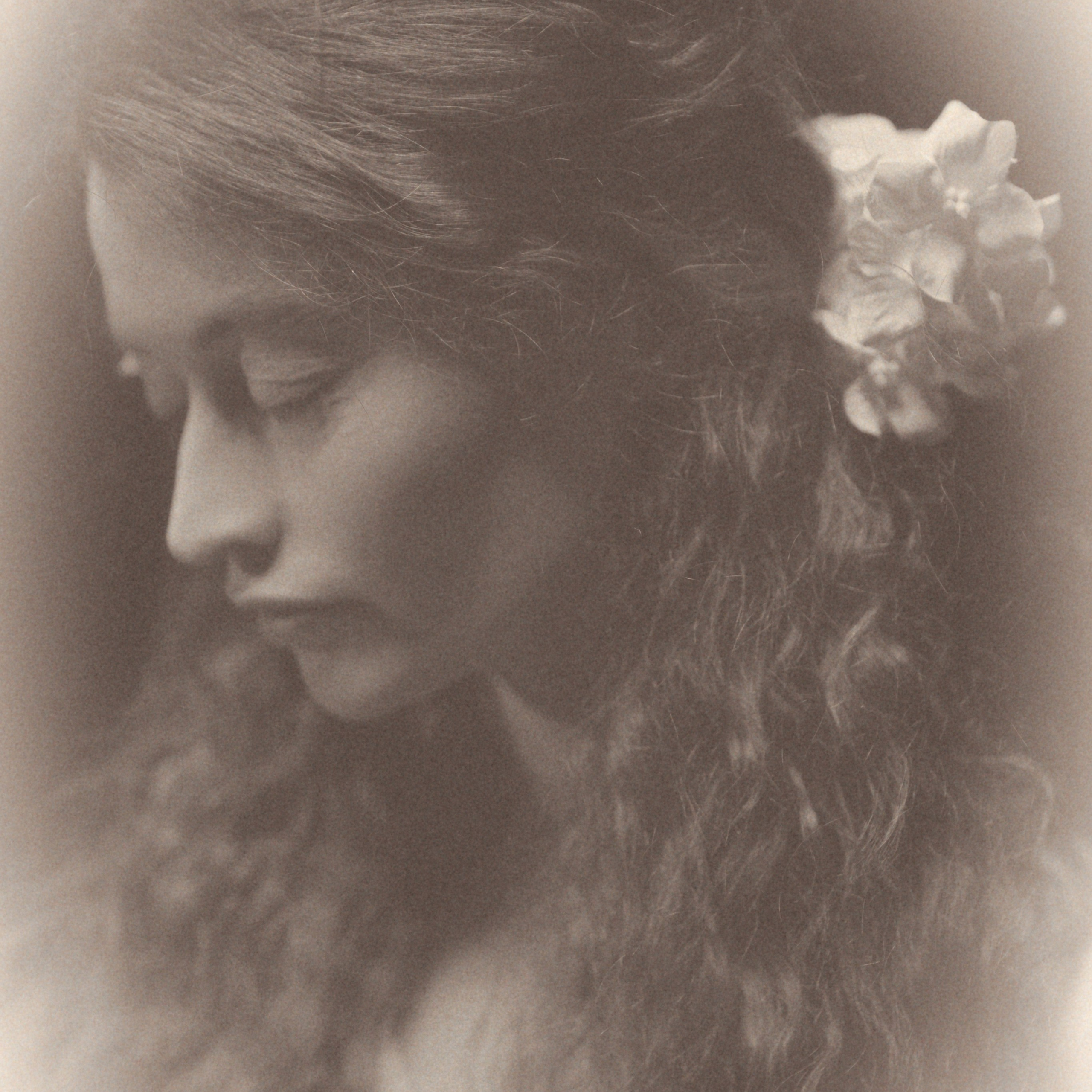 Прерафаэлиты