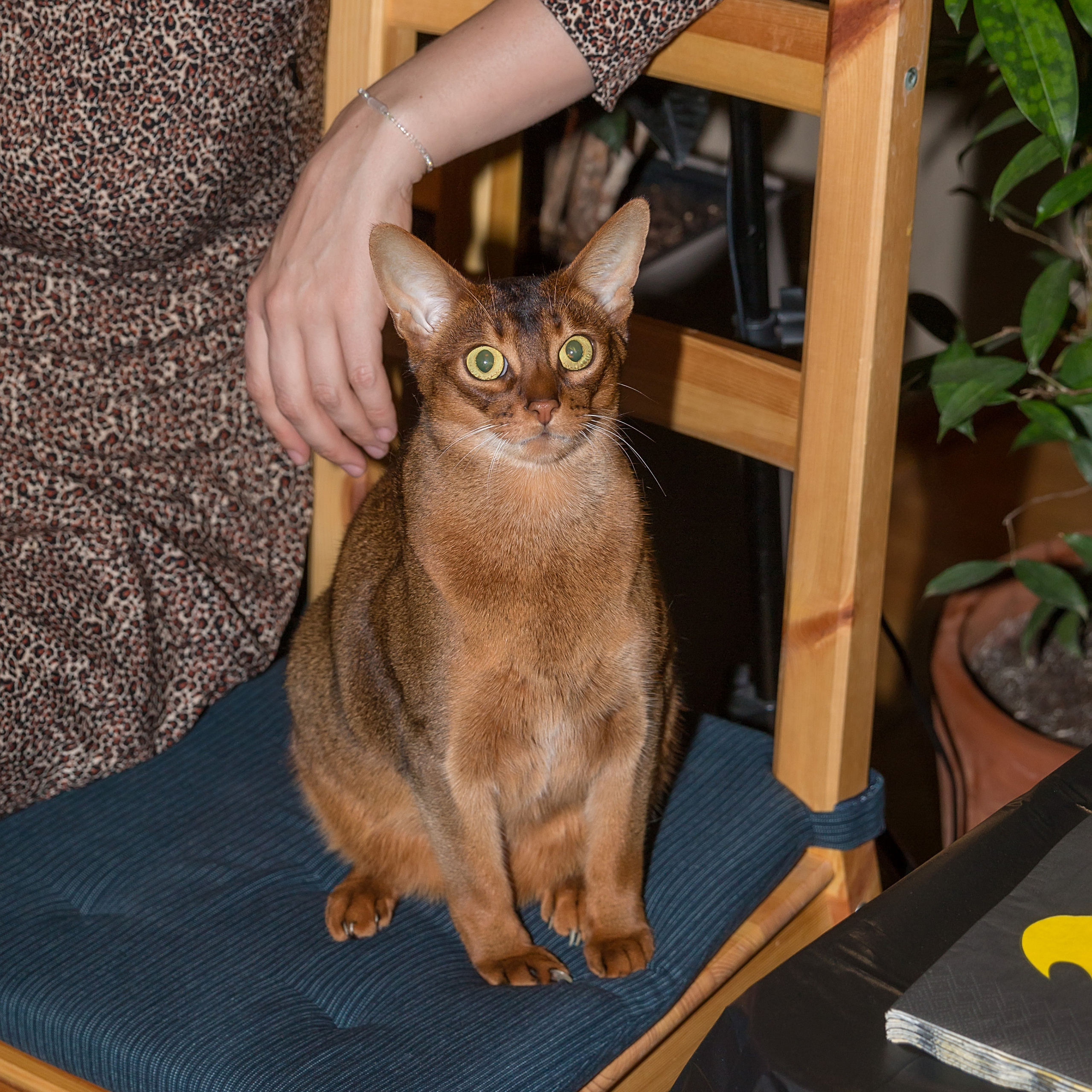 День рождение Валентина 5 лет!. Семейный и детский фотограф в Москве Екатерина Лебедева