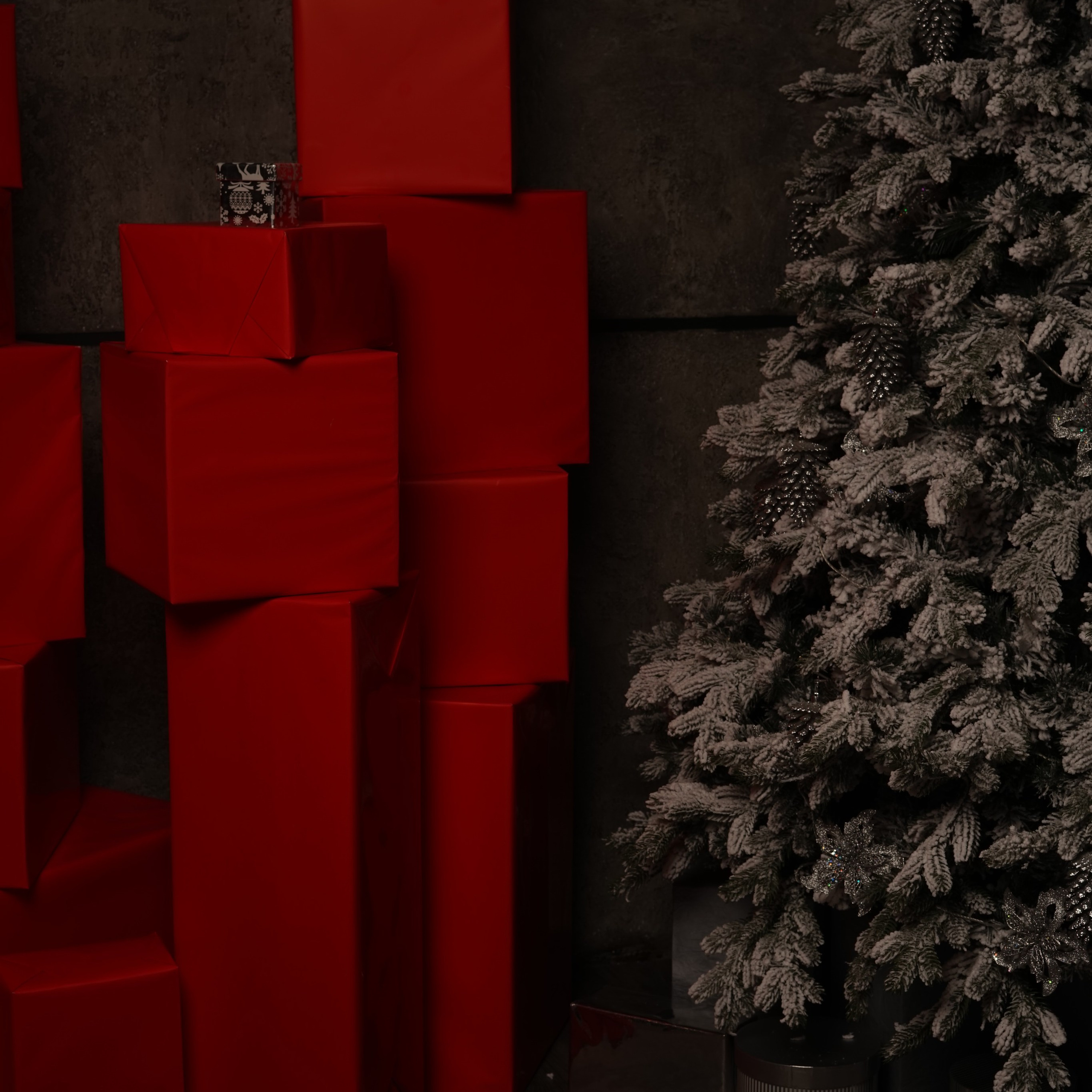 Отзывы. Фотограф Москва и Серпухов