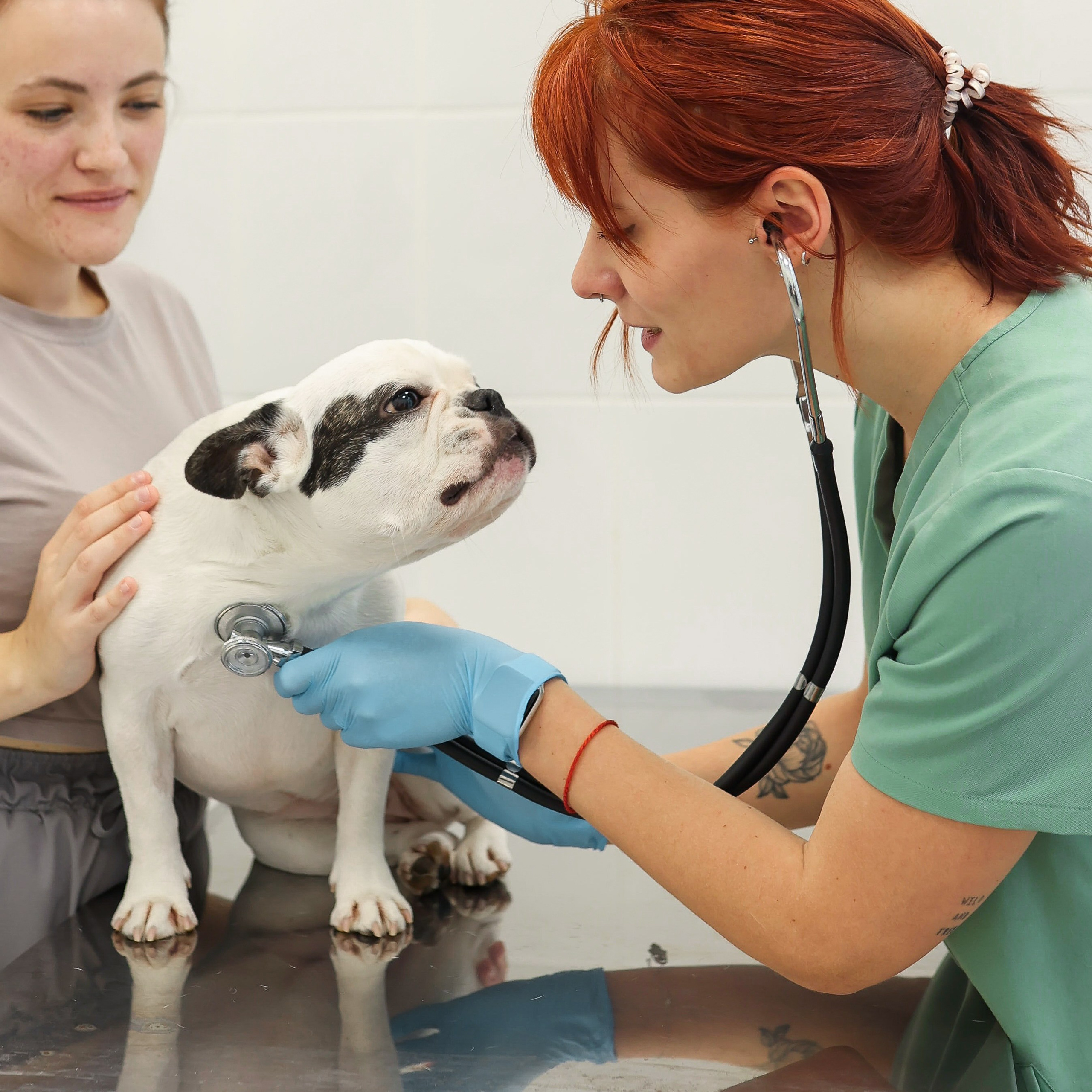 Отзывы. Фотограф из Санкт-Петербурга Ильинская Ксения