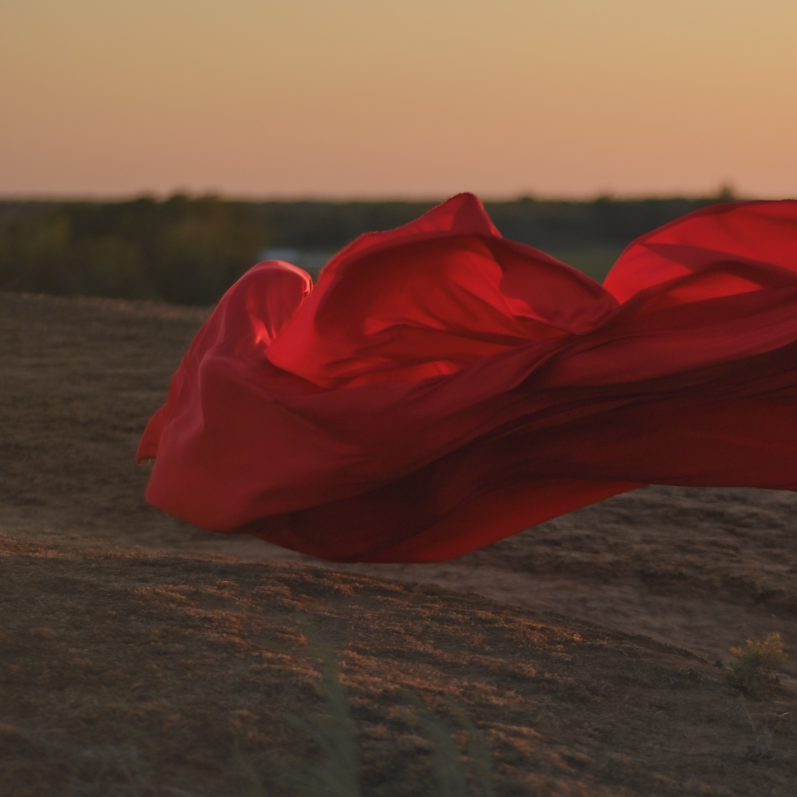 Аленький цветочек. Сохраню важные для тебя моменты