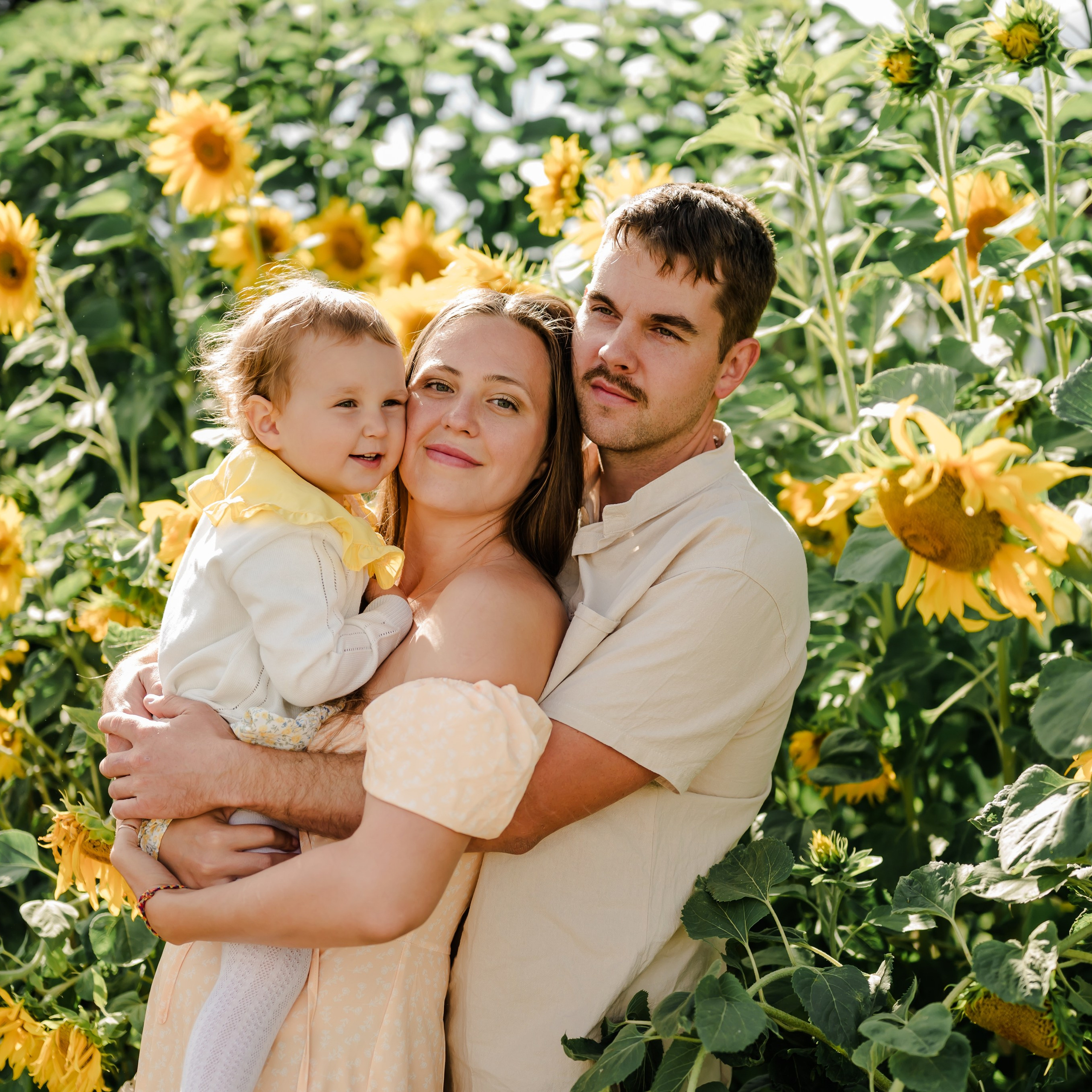 Подсолнухи