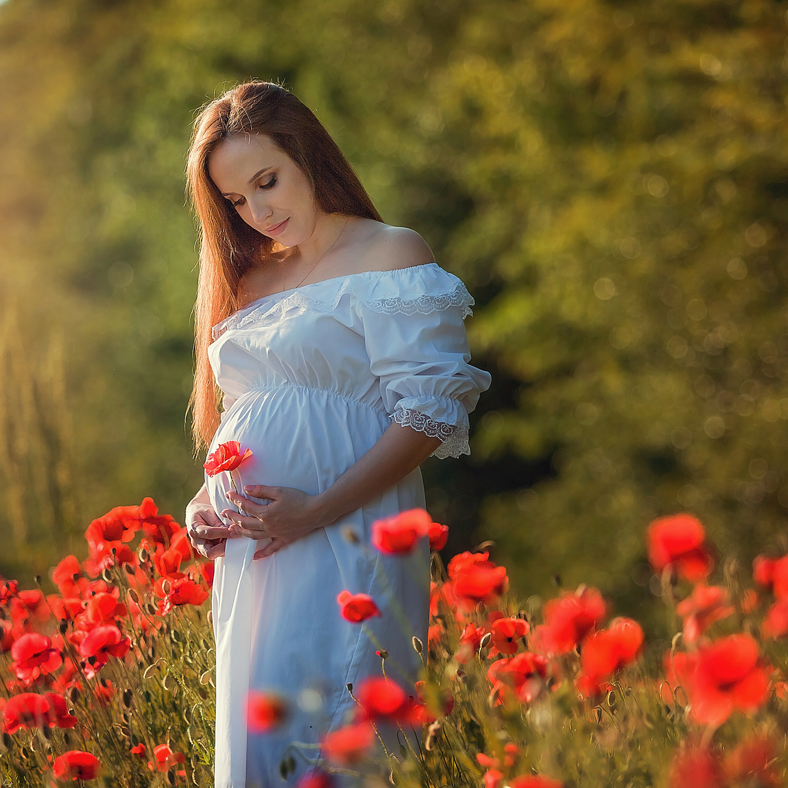 Майские маки.