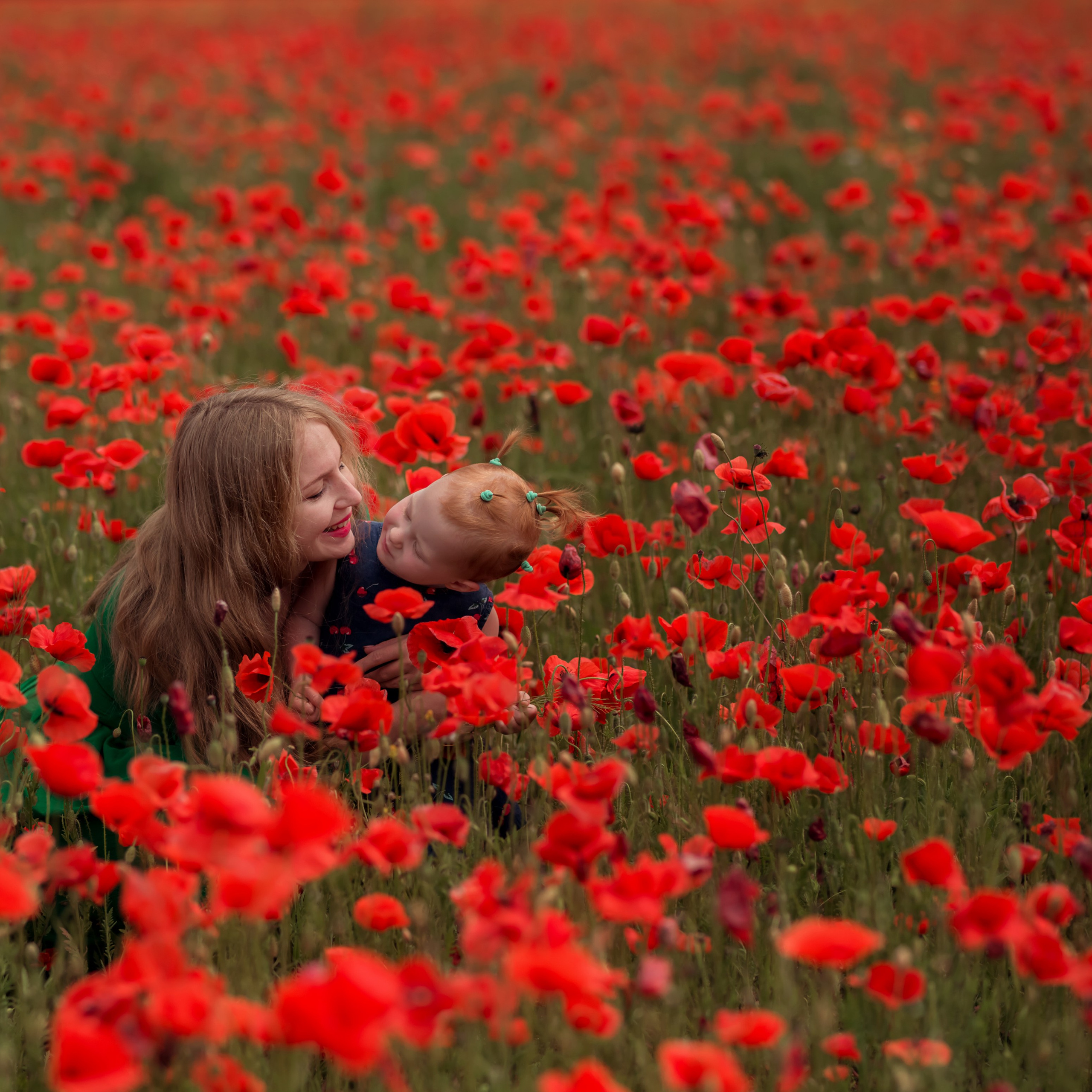 Маковое поле.