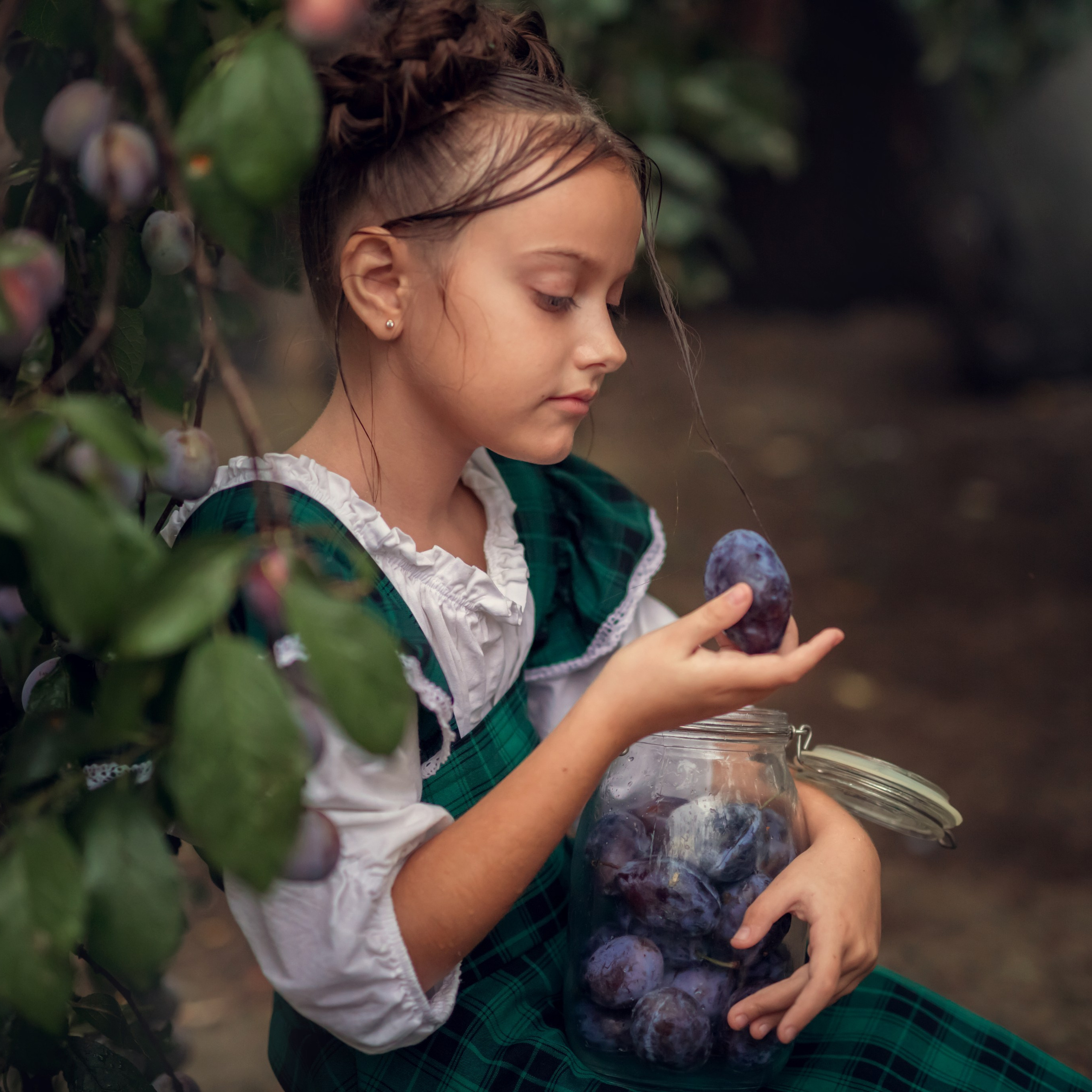 Сливовая история.