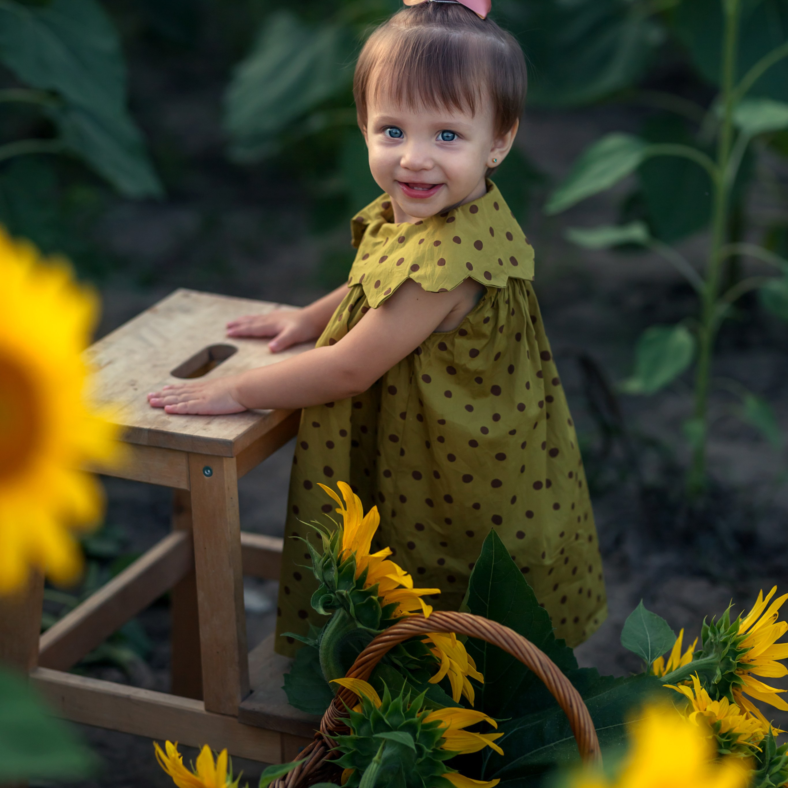 Подсолнухи.