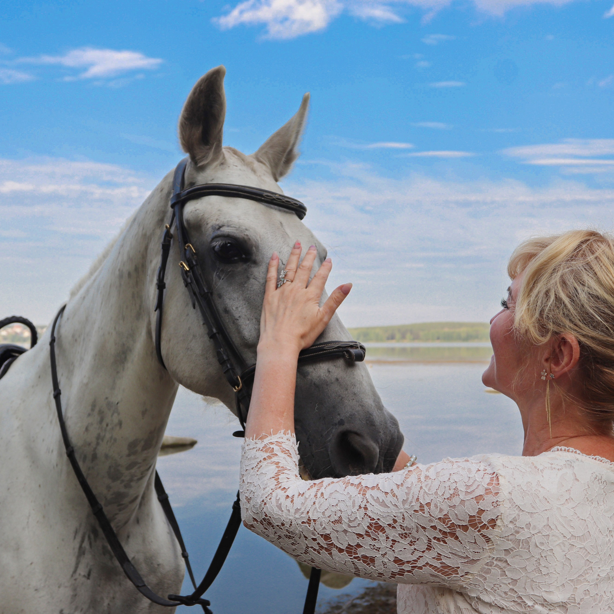 С&nbsp;животными