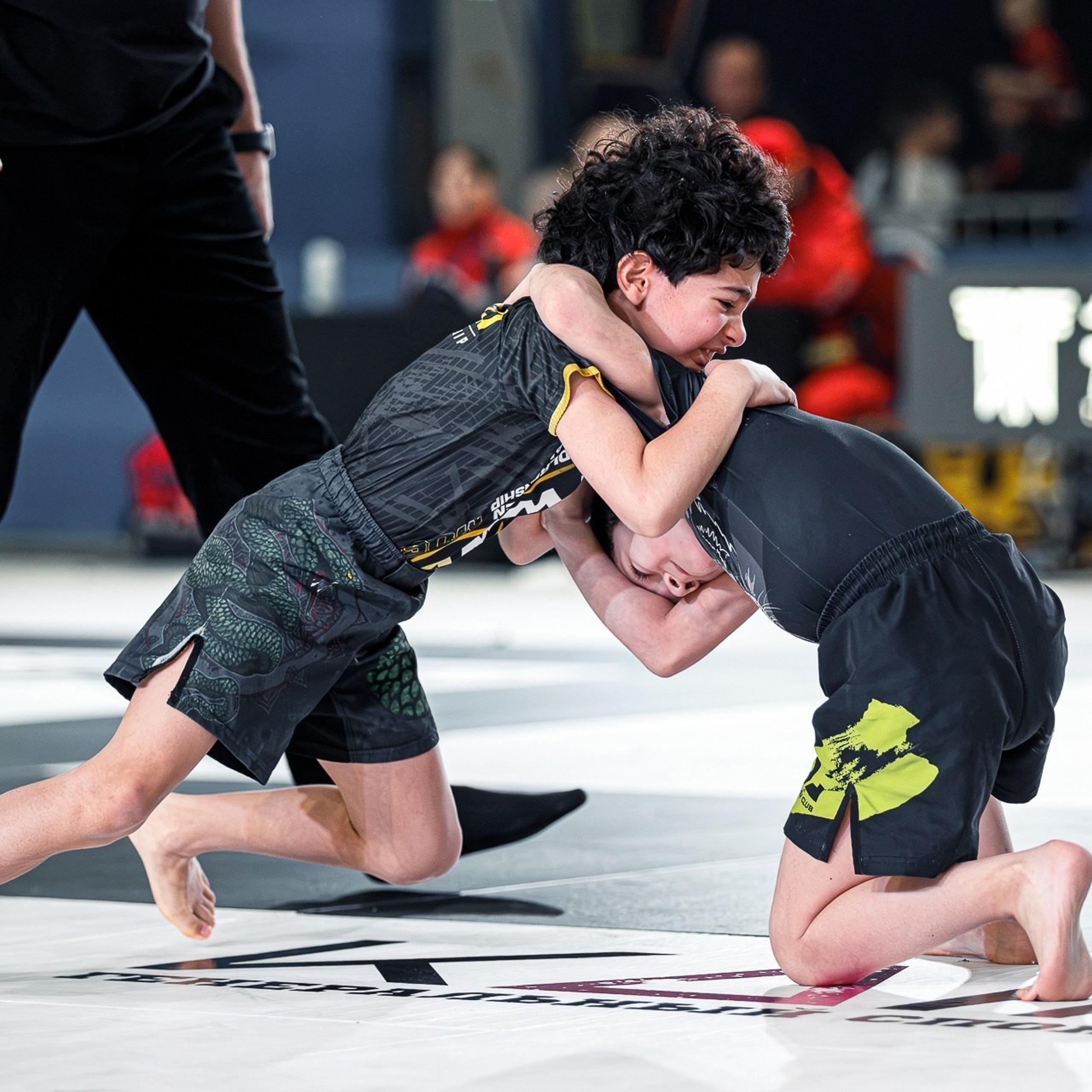 Профессиональный спортивный фотограф в Москве. Единоборства.