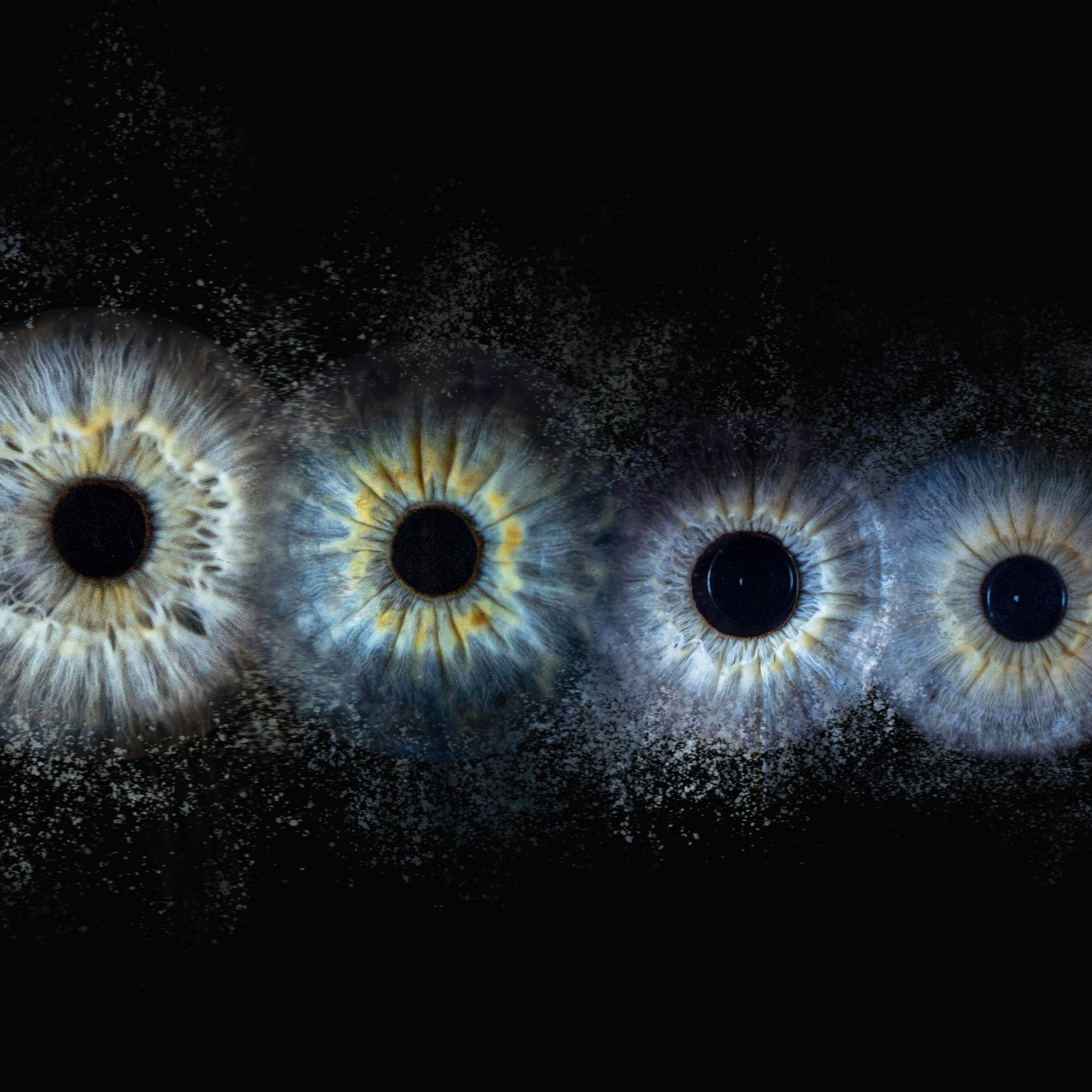 Отзывы. Вероника Раевская Фотограф в Новороссийске / Анапе / Краснодаре