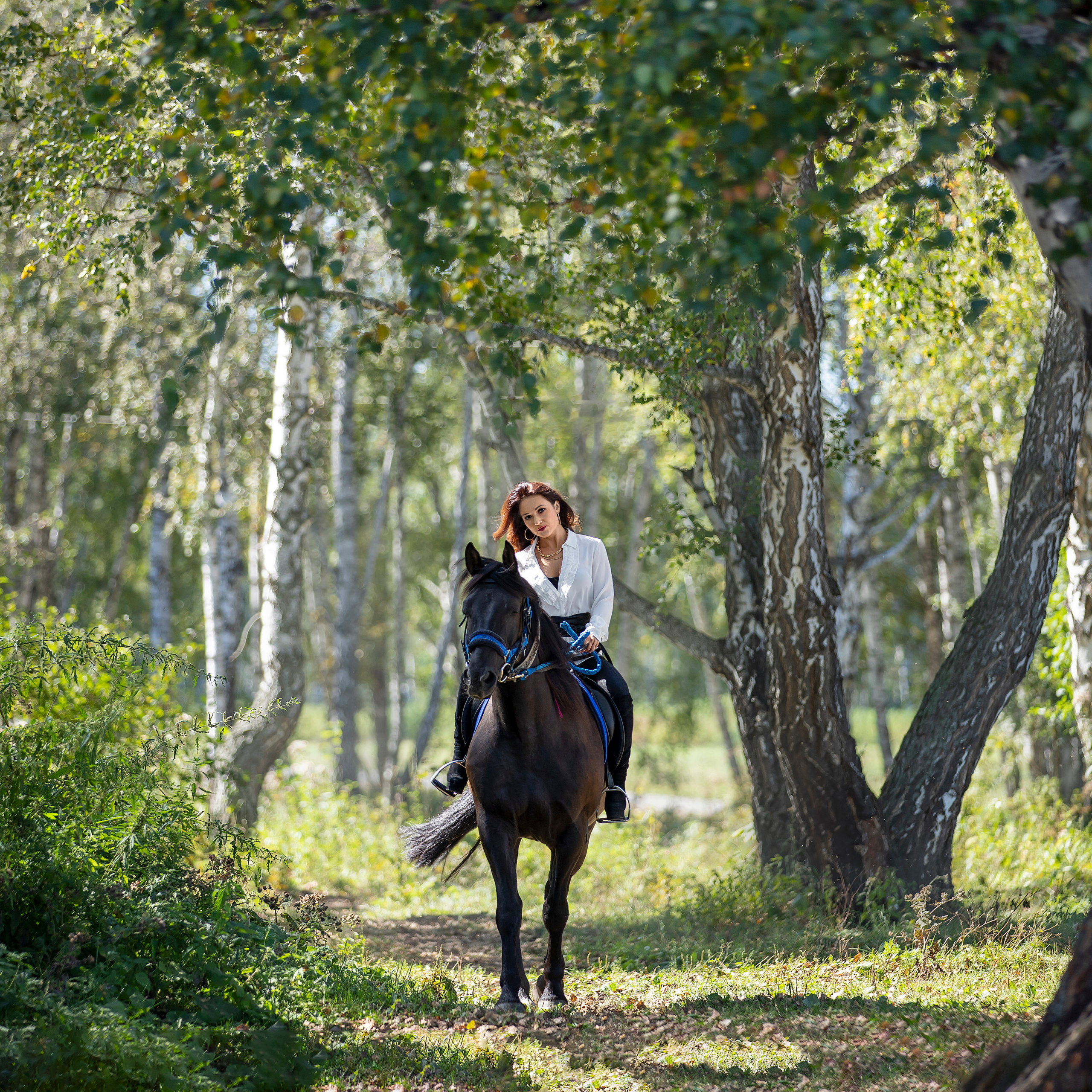 Съёмка с лошадьми