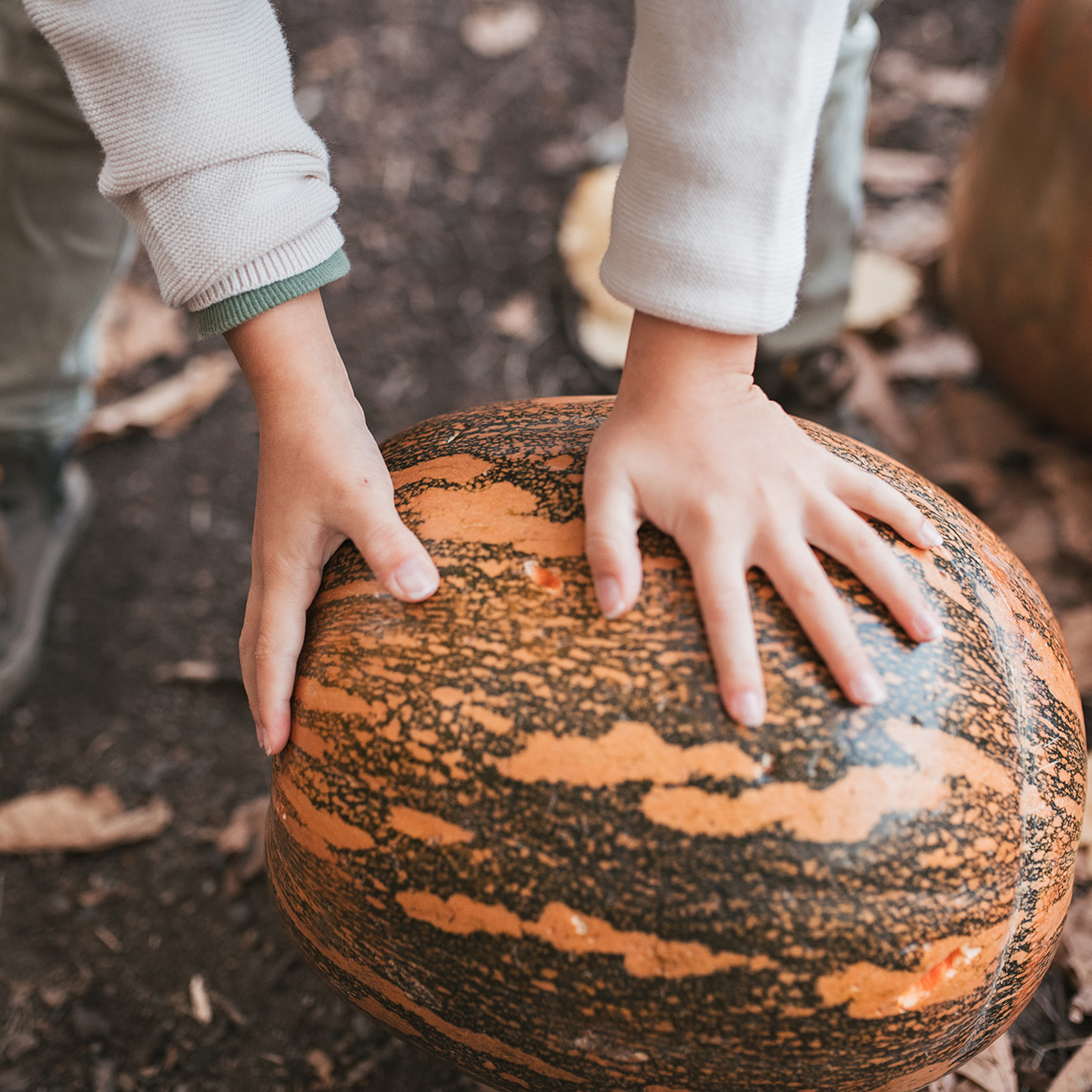 Осень Седанка