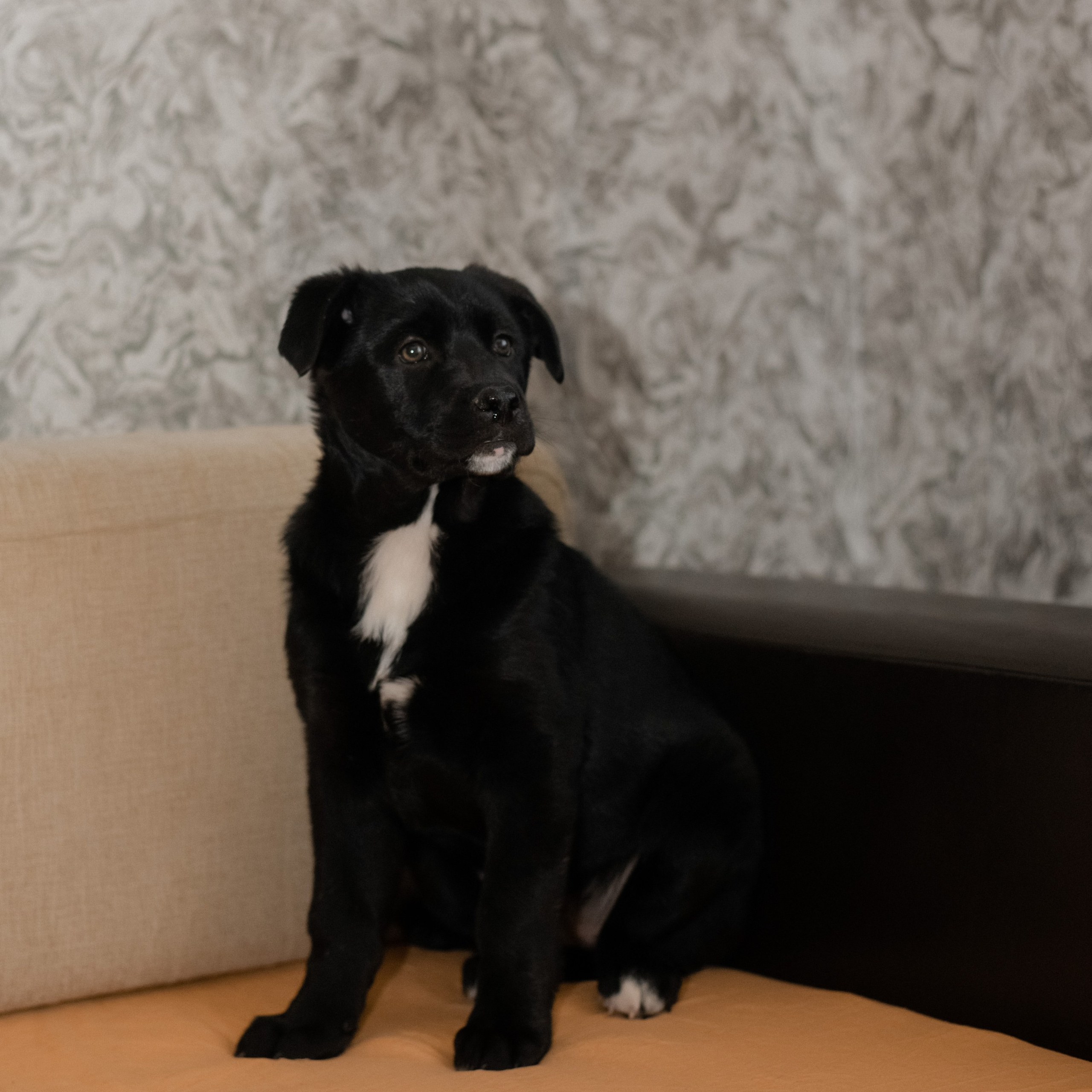 Отзывы. Свадебный и семейный фотограф | Слоним, Гродно| Варя Режа́бек