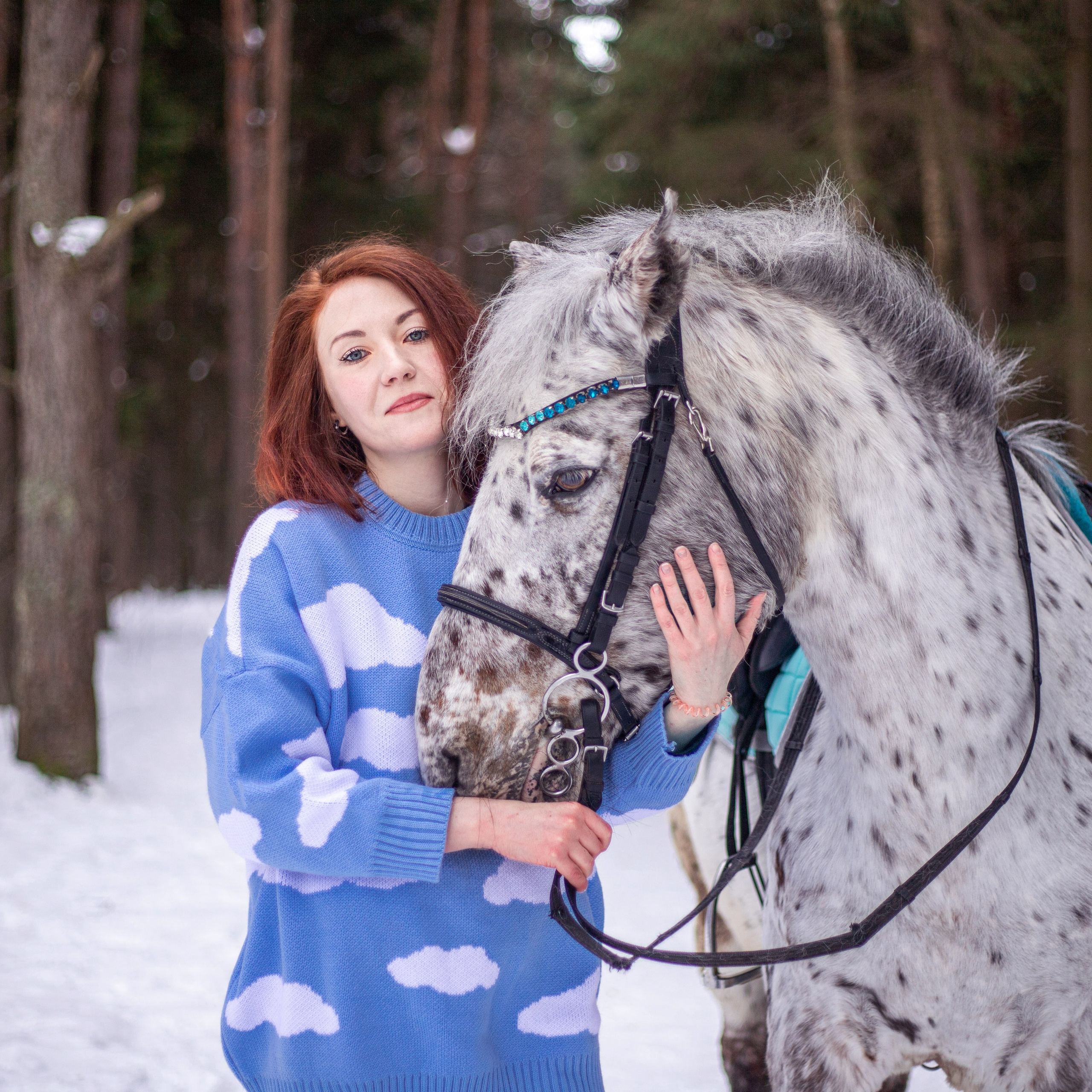 Фотосессии с лошадьми в Москве и МО