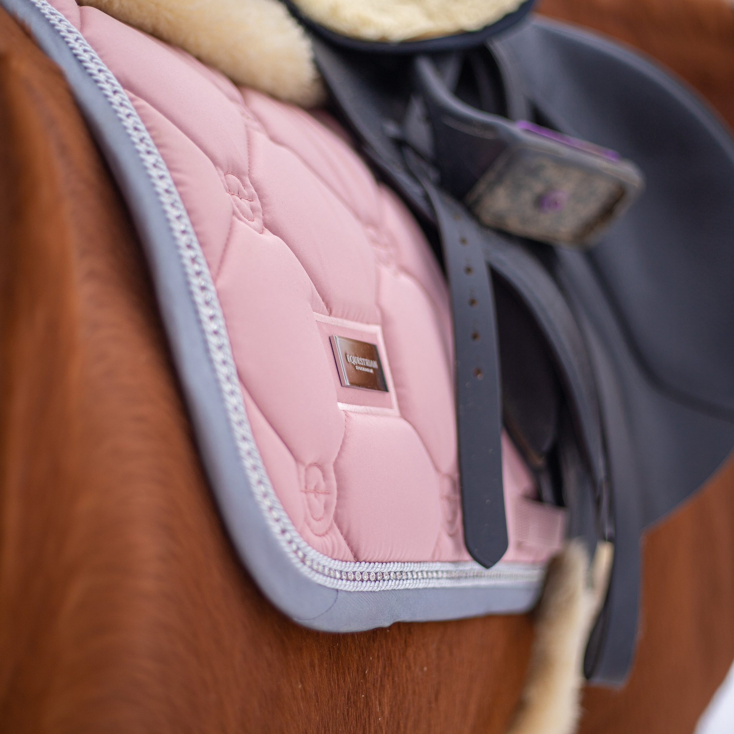 Фотосессии с лошадьми в Москве и МО