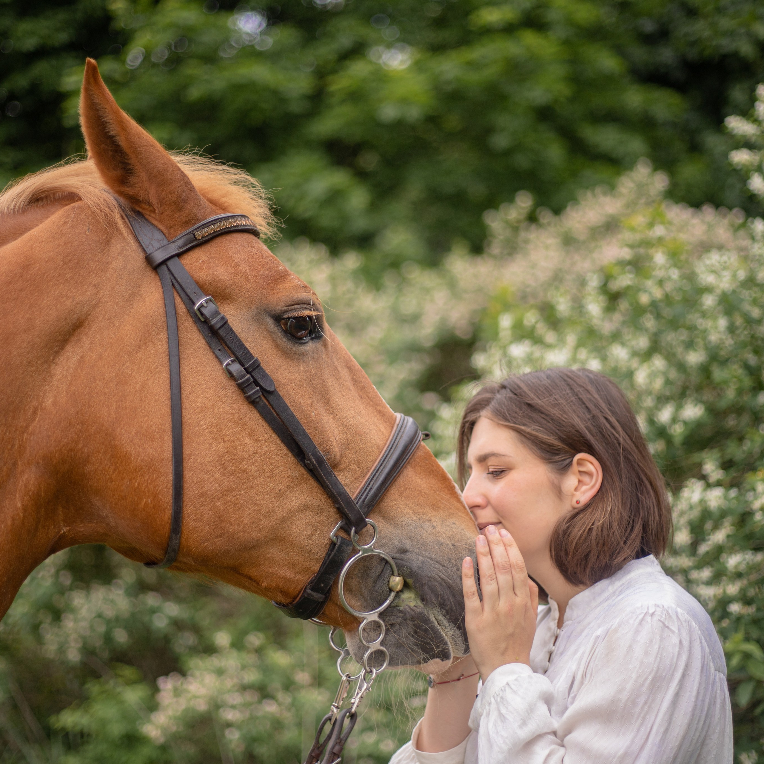 Фотосессии с лошадьми в Москве и МО