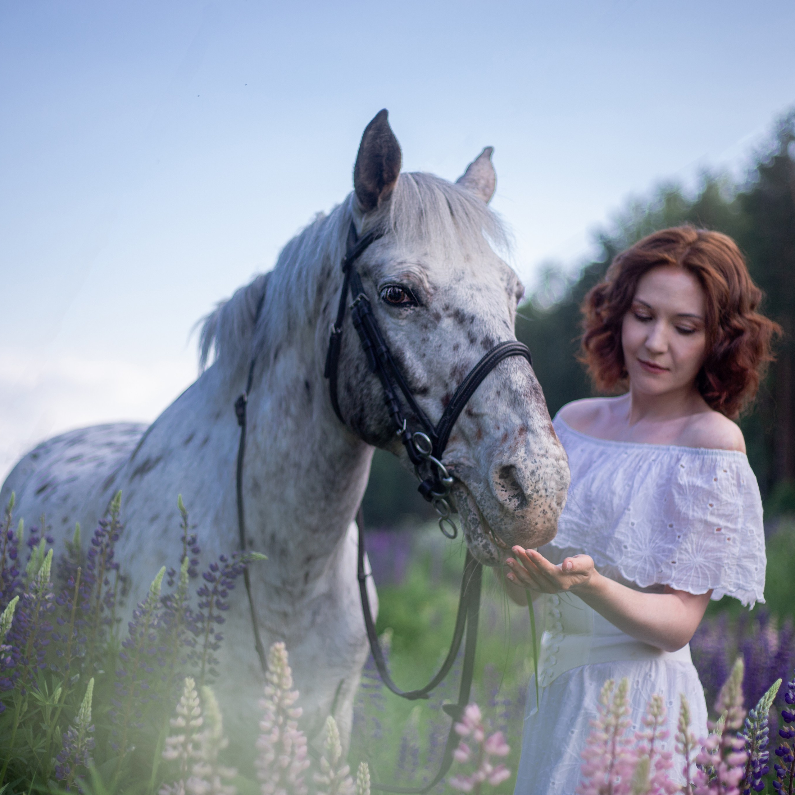 Фотосессии с лошадьми в Москве и МО