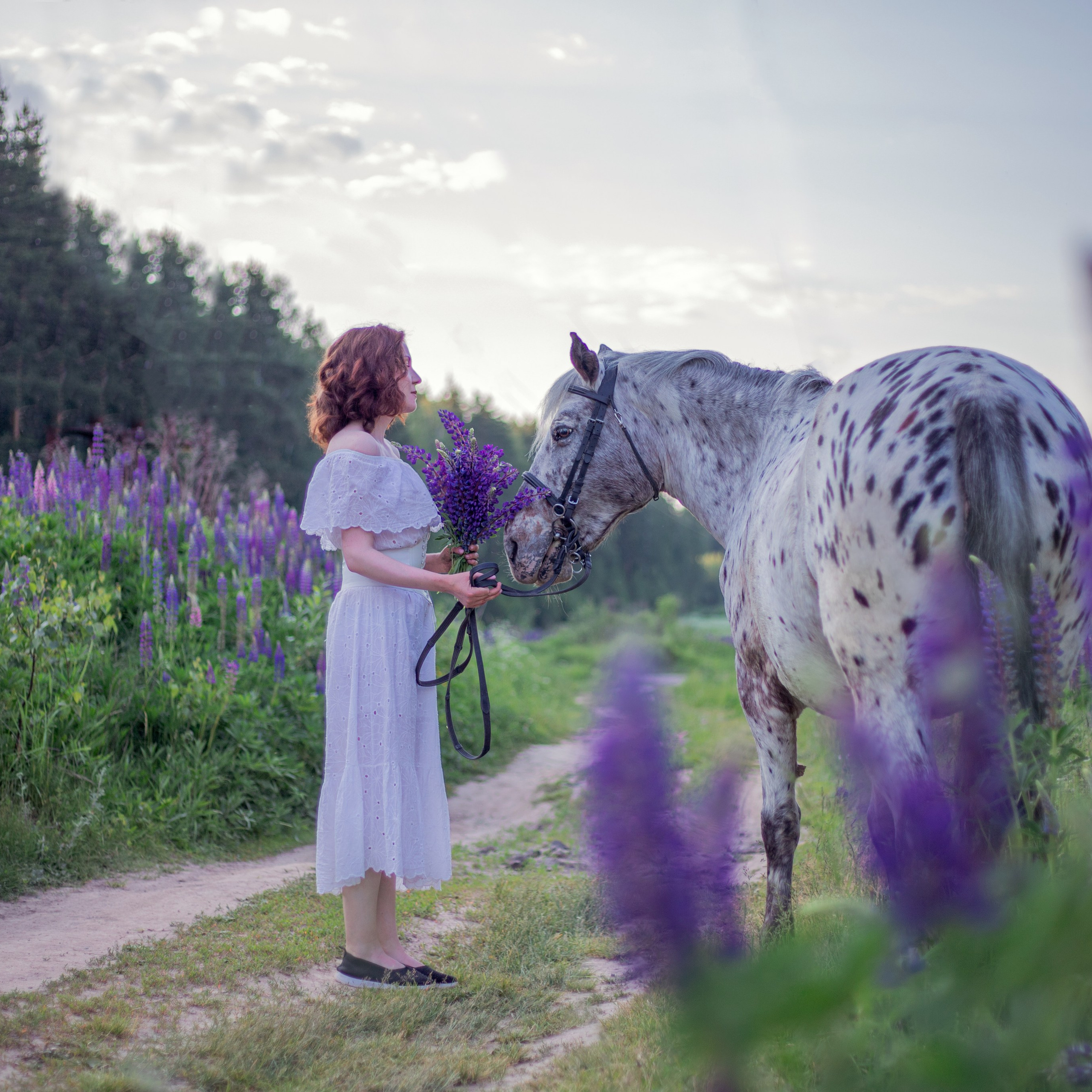 Фотосессии с лошадьми в Москве и МО