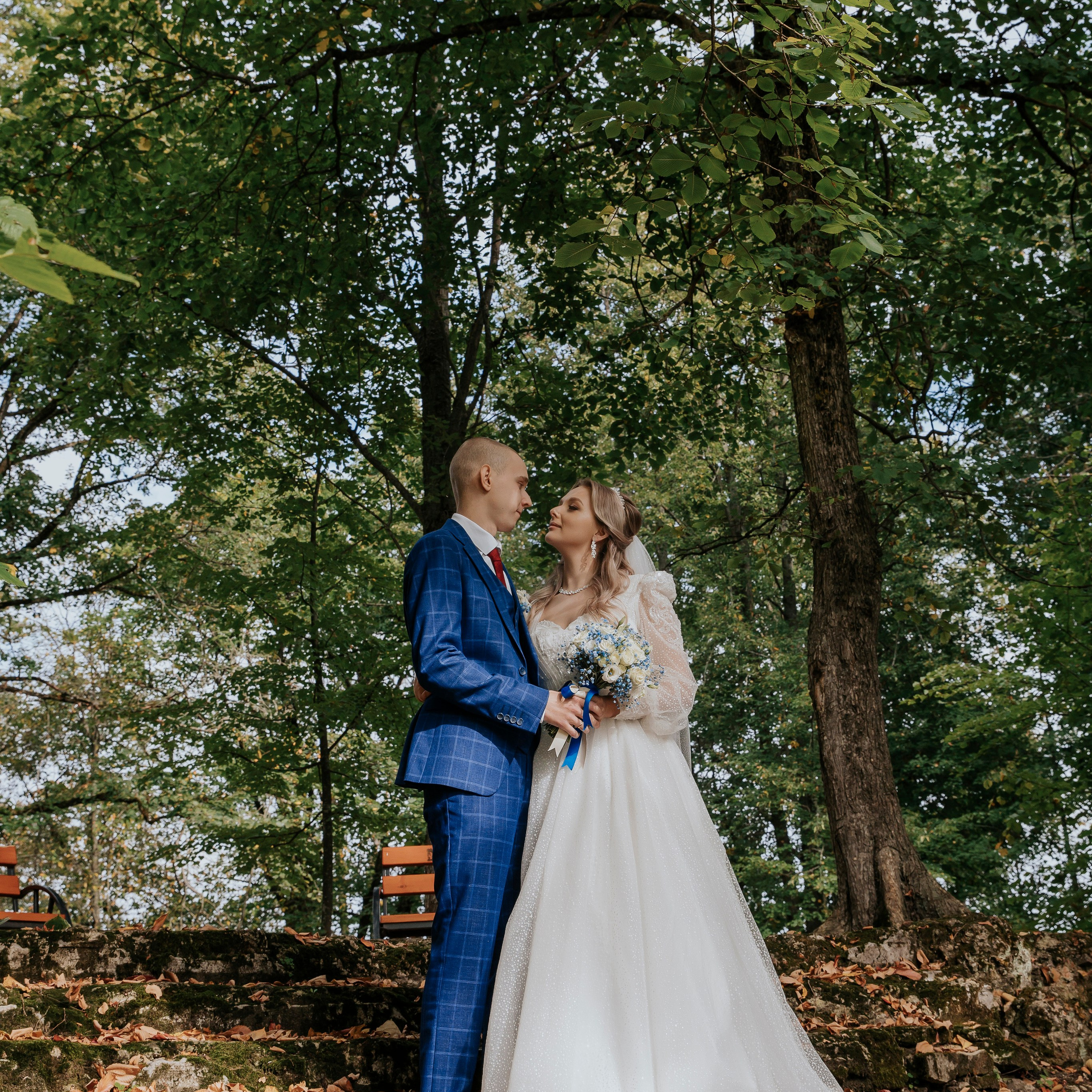 Аракчеевский парк