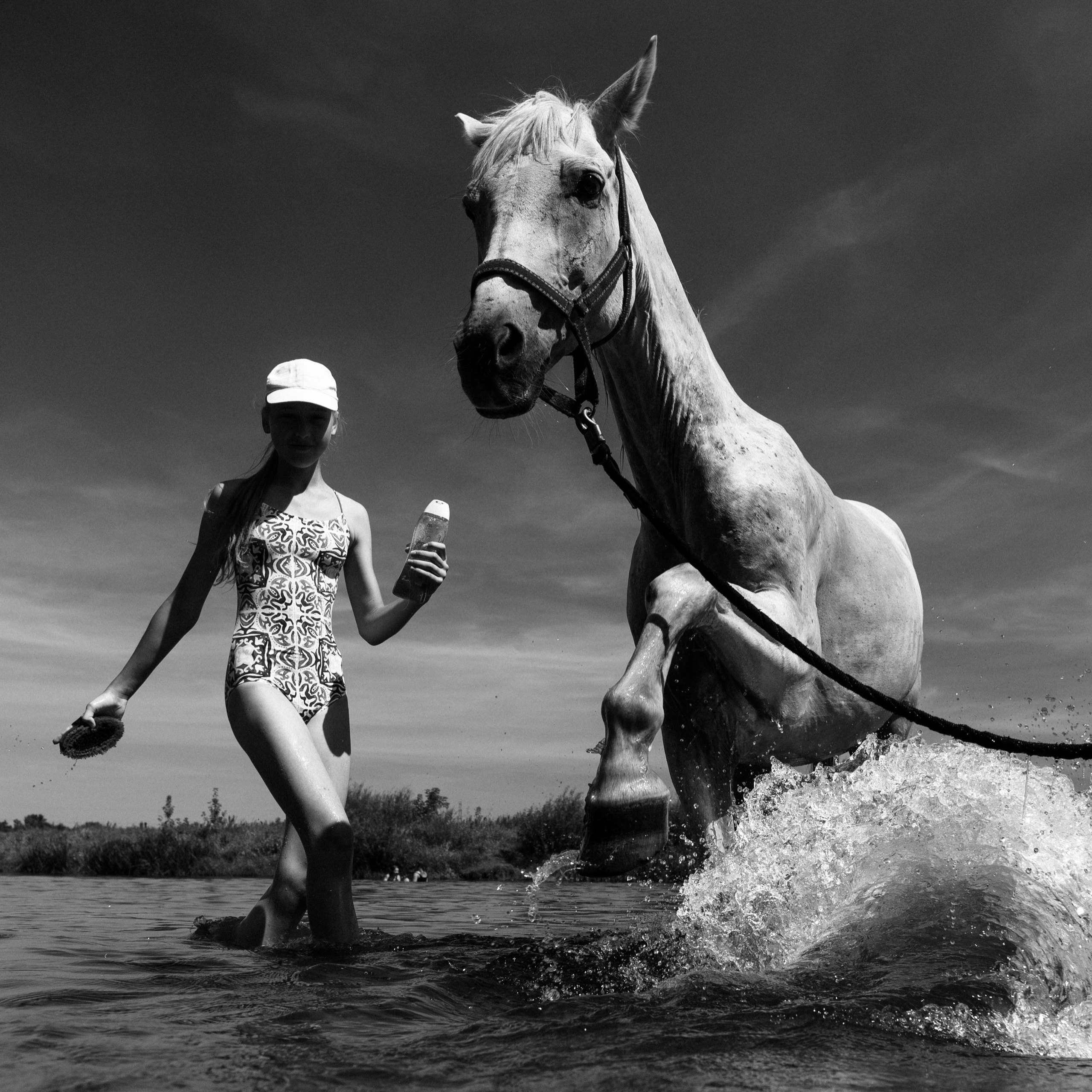 Equestrian camp in Poland