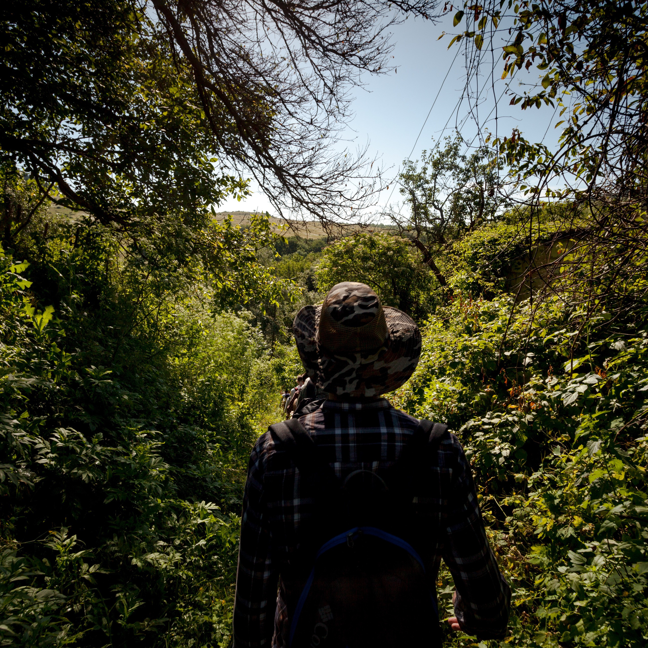 Portrait of Geology