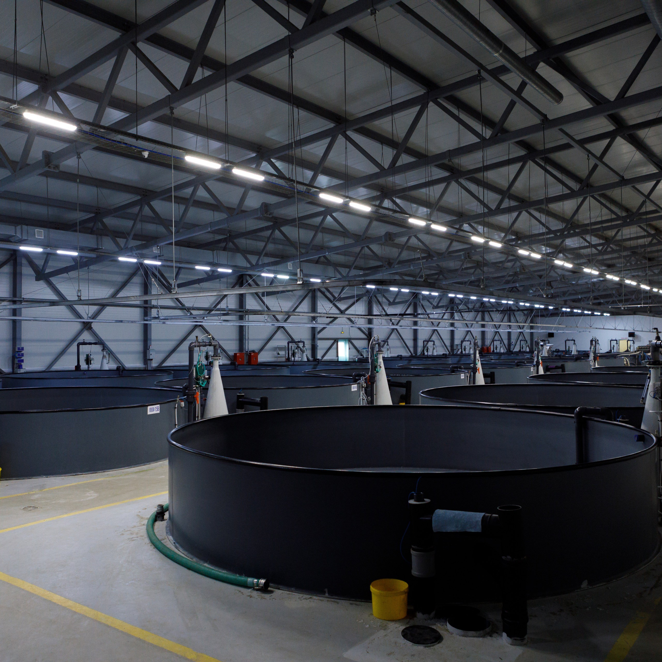 Kala-Ranta Trout Farm