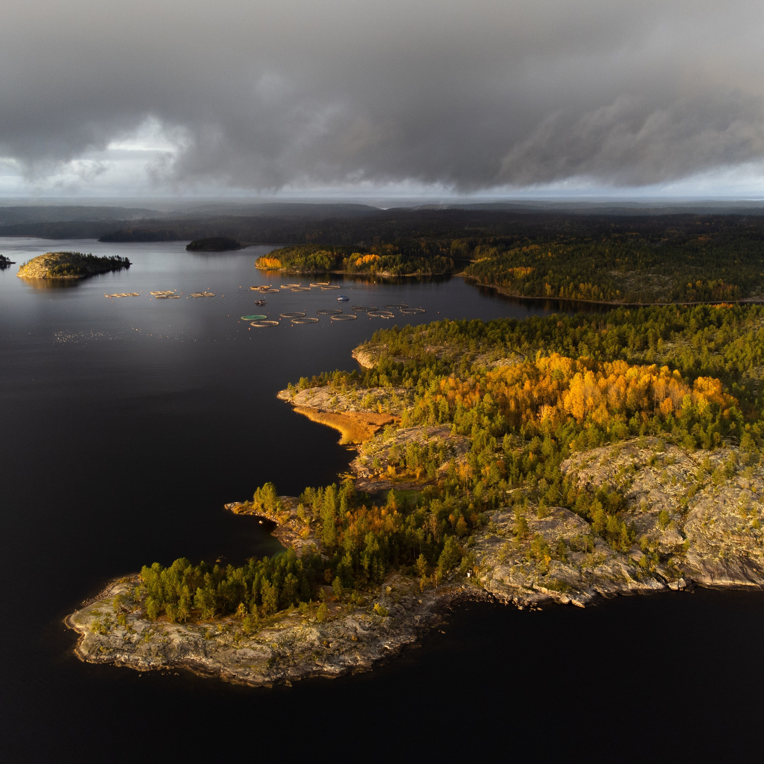 Photos for the Ladoga Skerries National Park