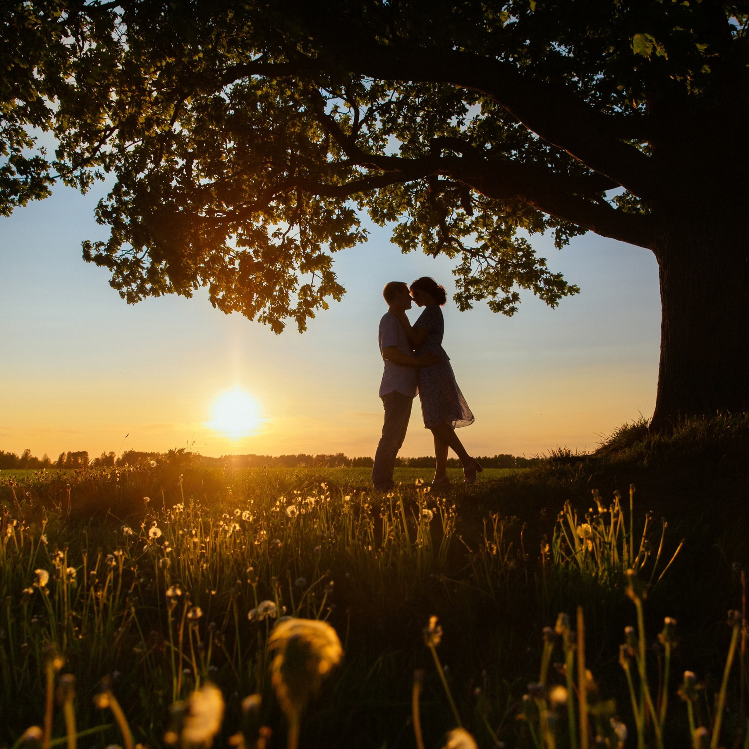 Портфолио. Свадебный и репортажный фотограф